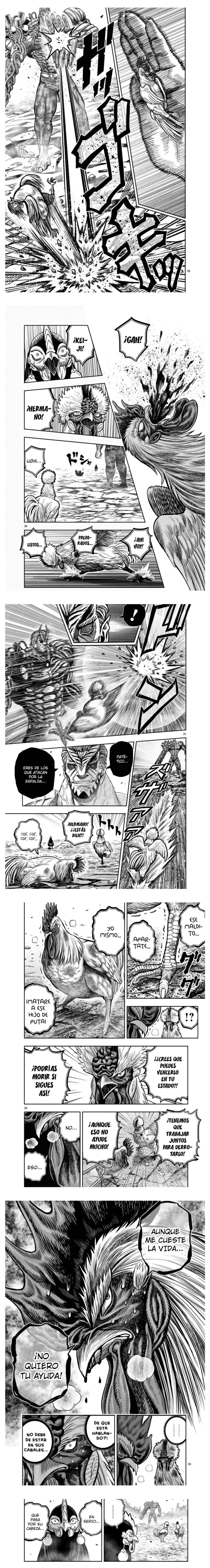Read Rooster Fighter ES Manga Online
