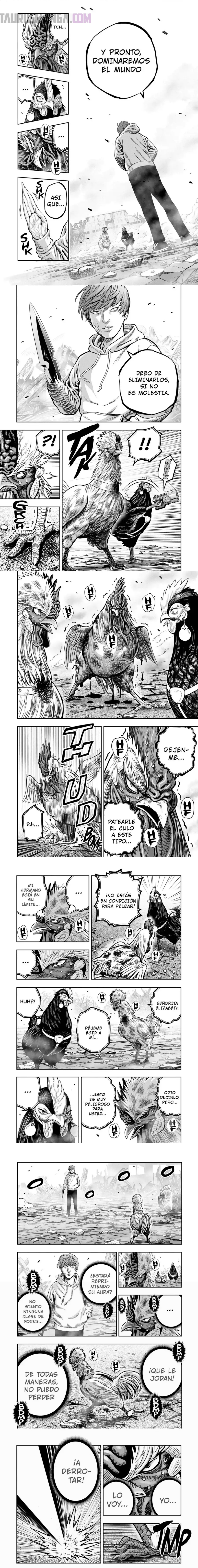 Read Rooster Fighter ES Manga Online