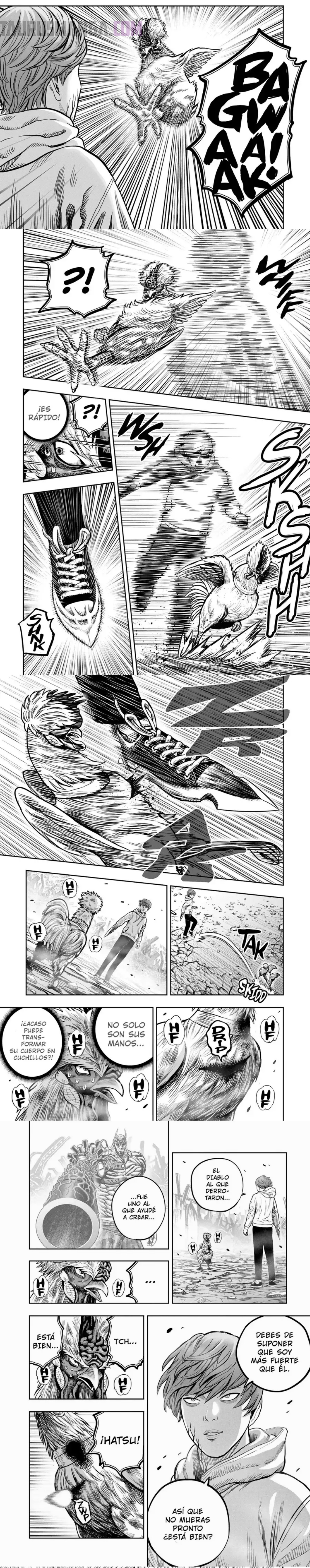 Read Rooster Fighter ES Manga Online
