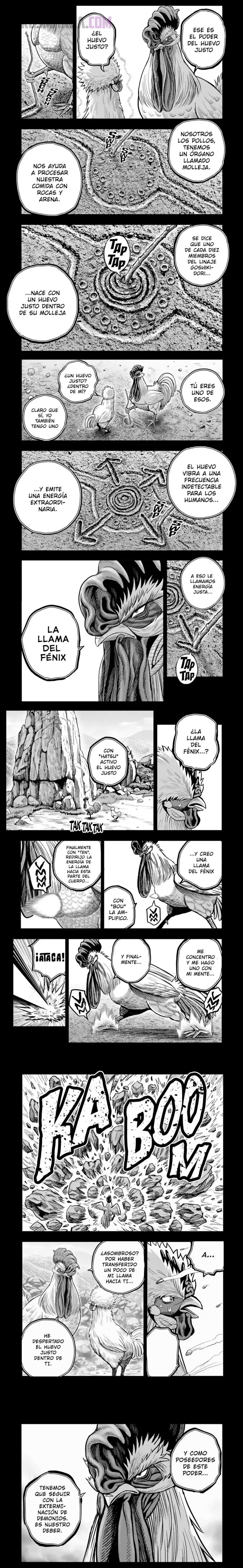 Read Rooster Fighter ES Manga Online