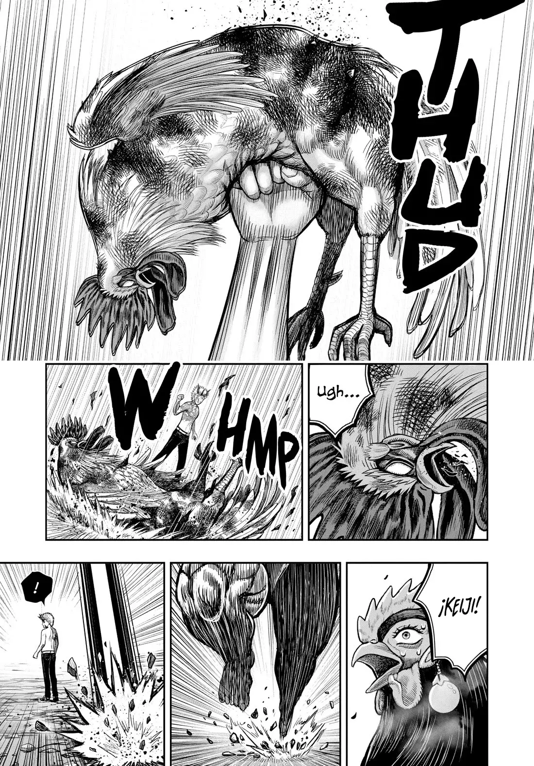 Read Rooster Fighter ES Manga Online