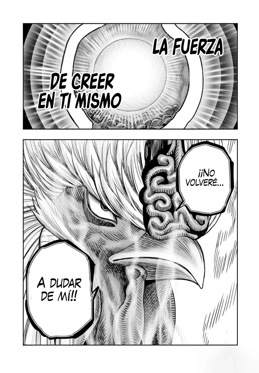 Read Rooster Fighter ES Manga Online