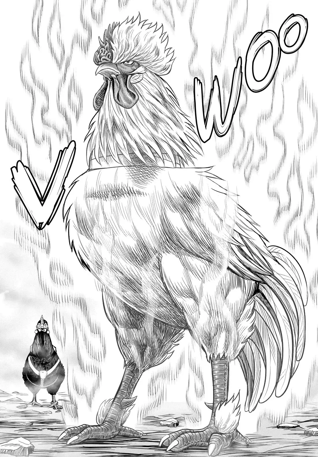 Read Rooster Fighter ES Manga Online