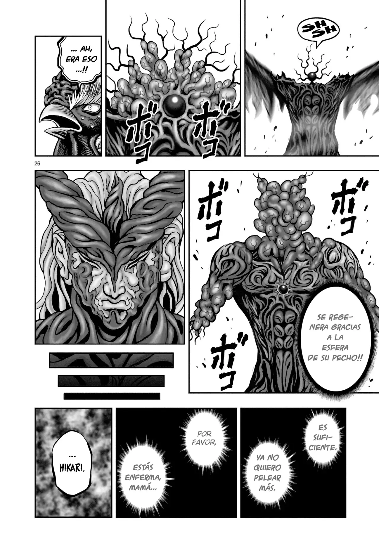 Read Rooster Fighter ES Manga Online