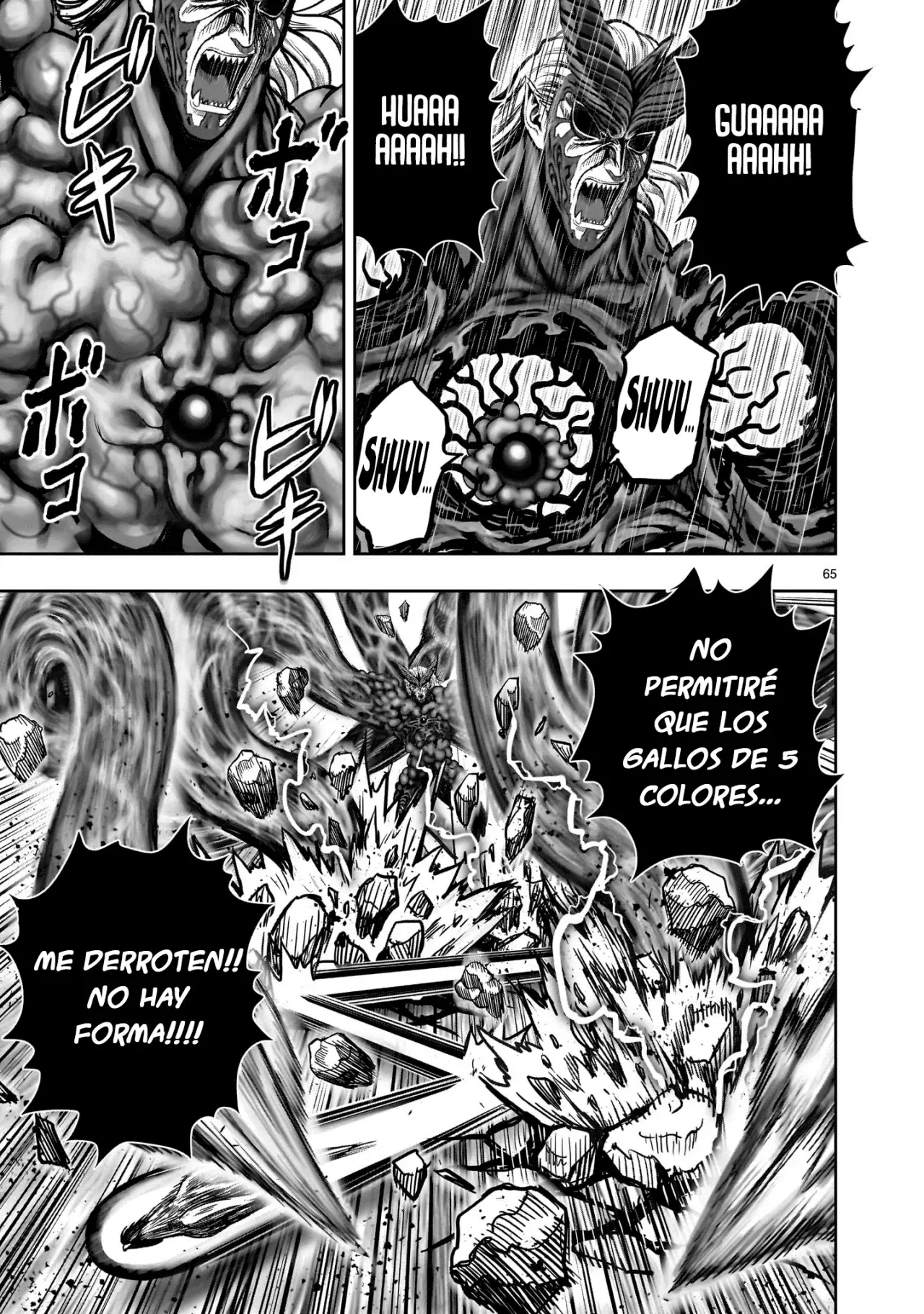 Read Rooster Fighter ES Manga Online