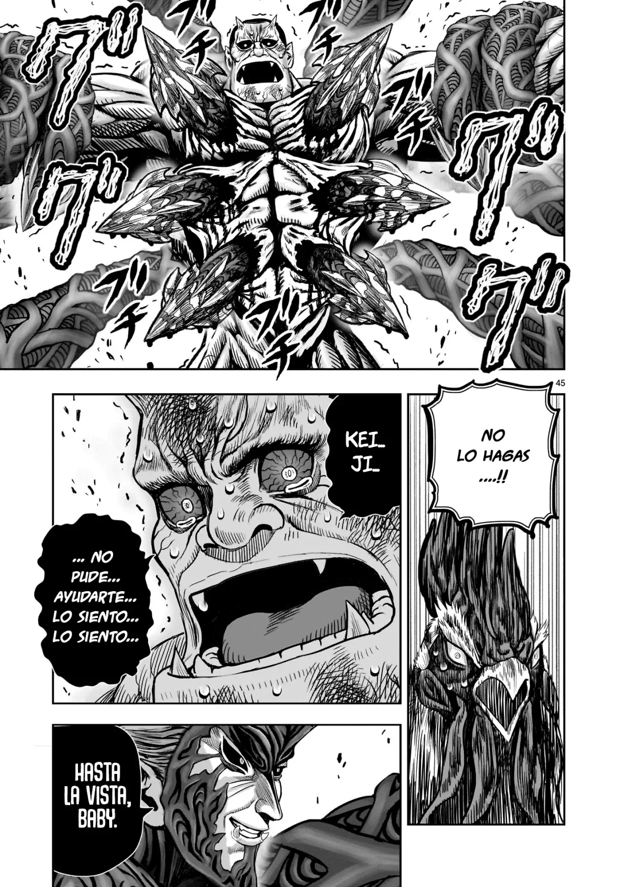Read Rooster Fighter ES Manga Online