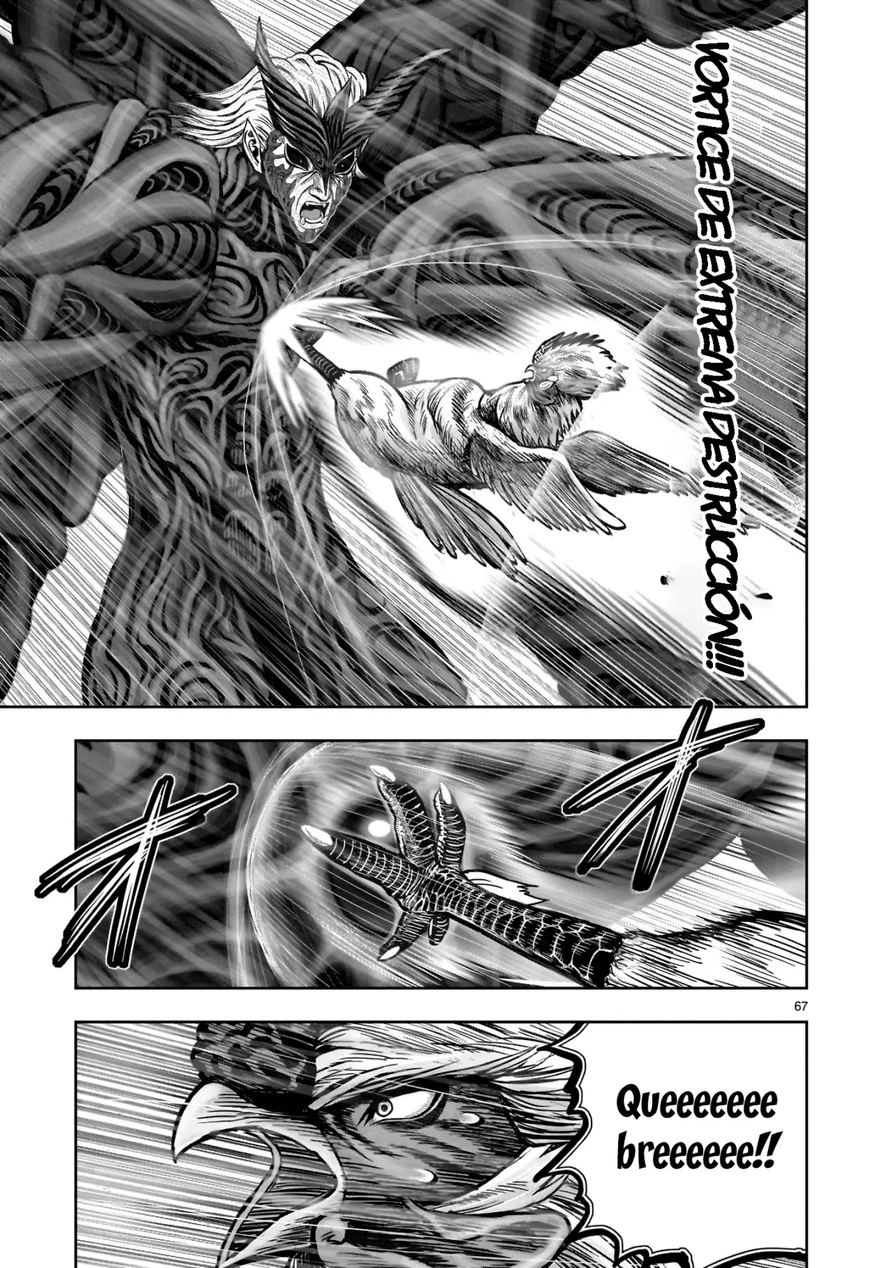 Read Rooster Fighter ES Manga Online