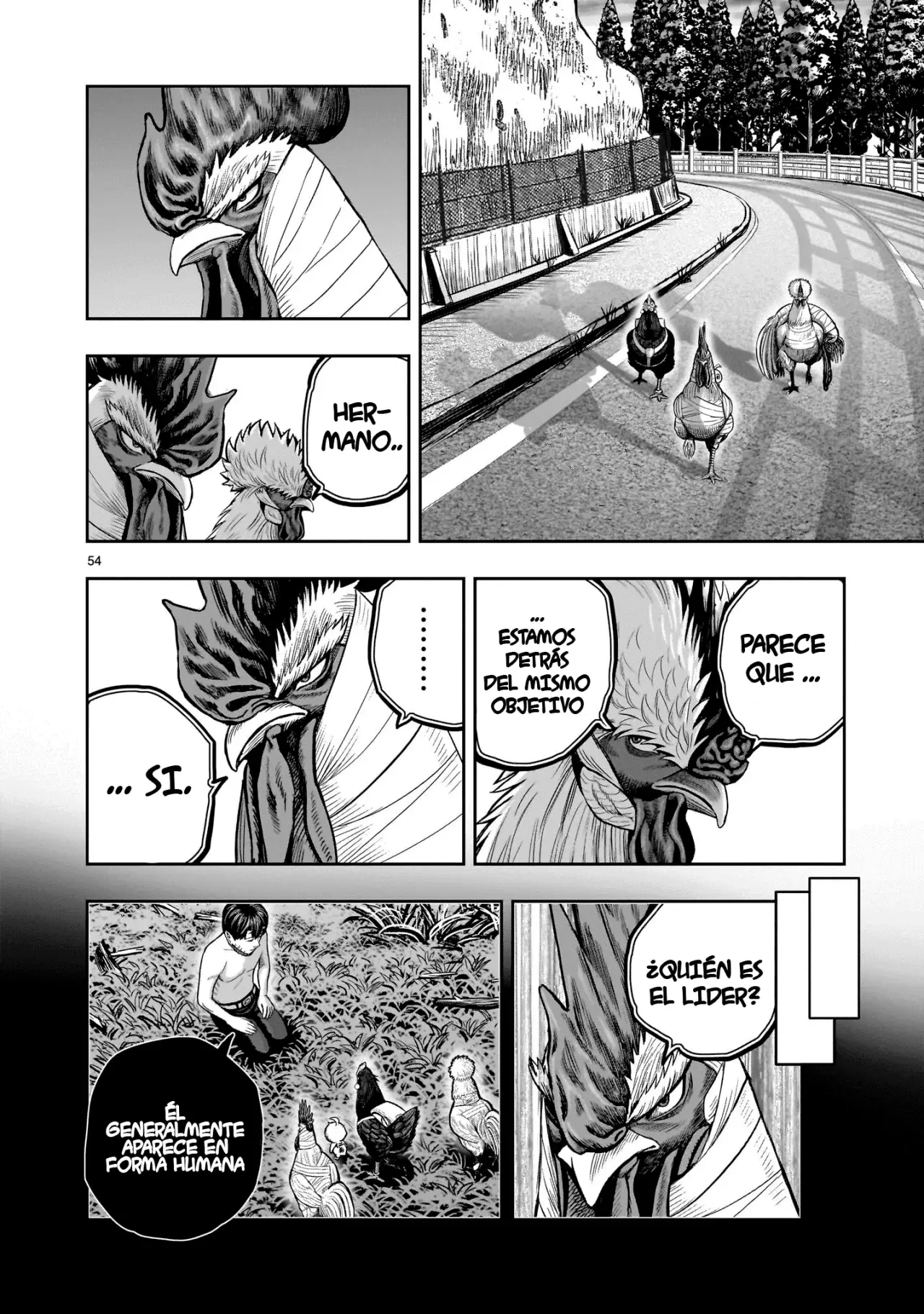 Read Rooster Fighter ES Manga Online