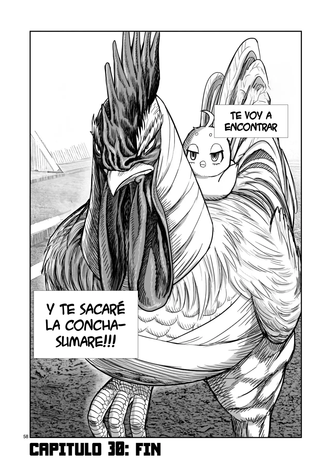 Read Rooster Fighter ES Manga Online