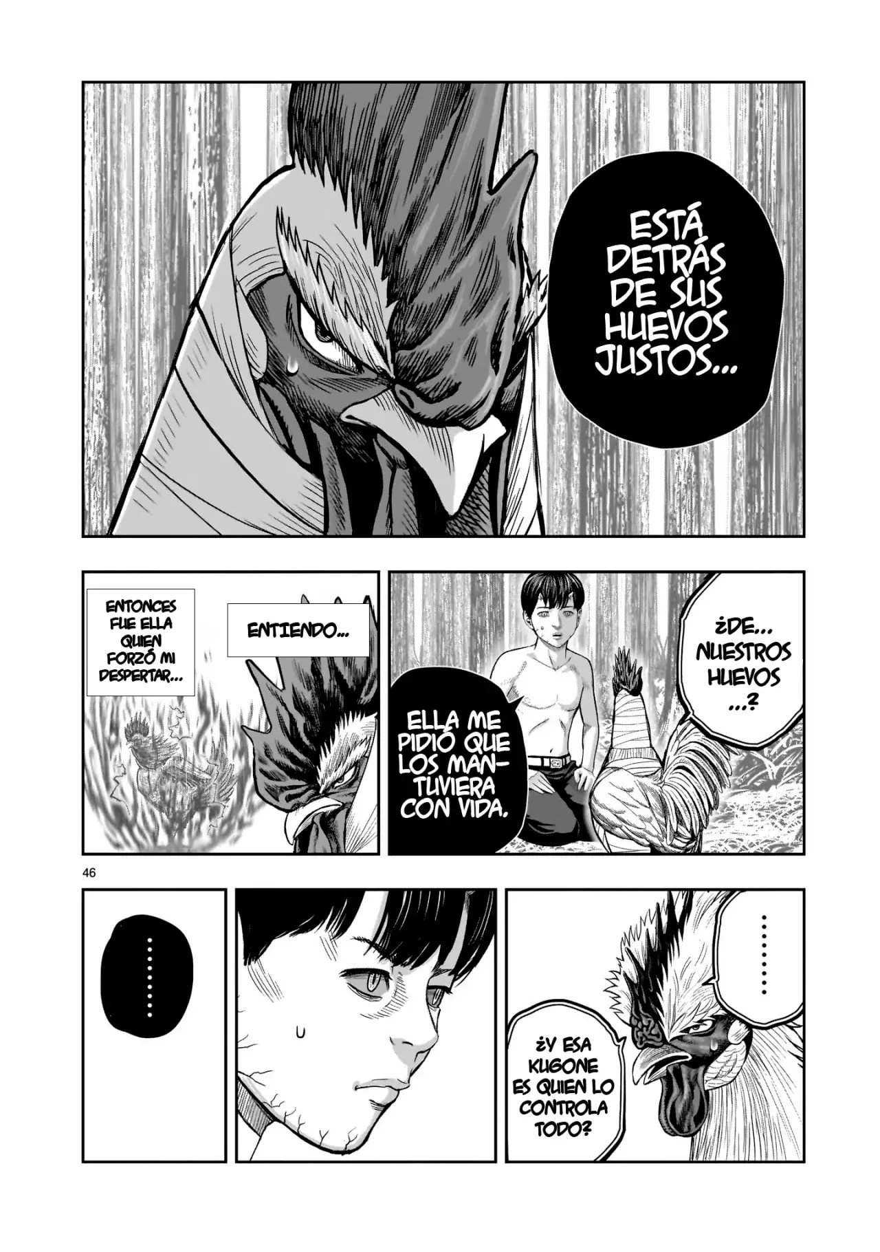 Read Rooster Fighter ES Manga Online