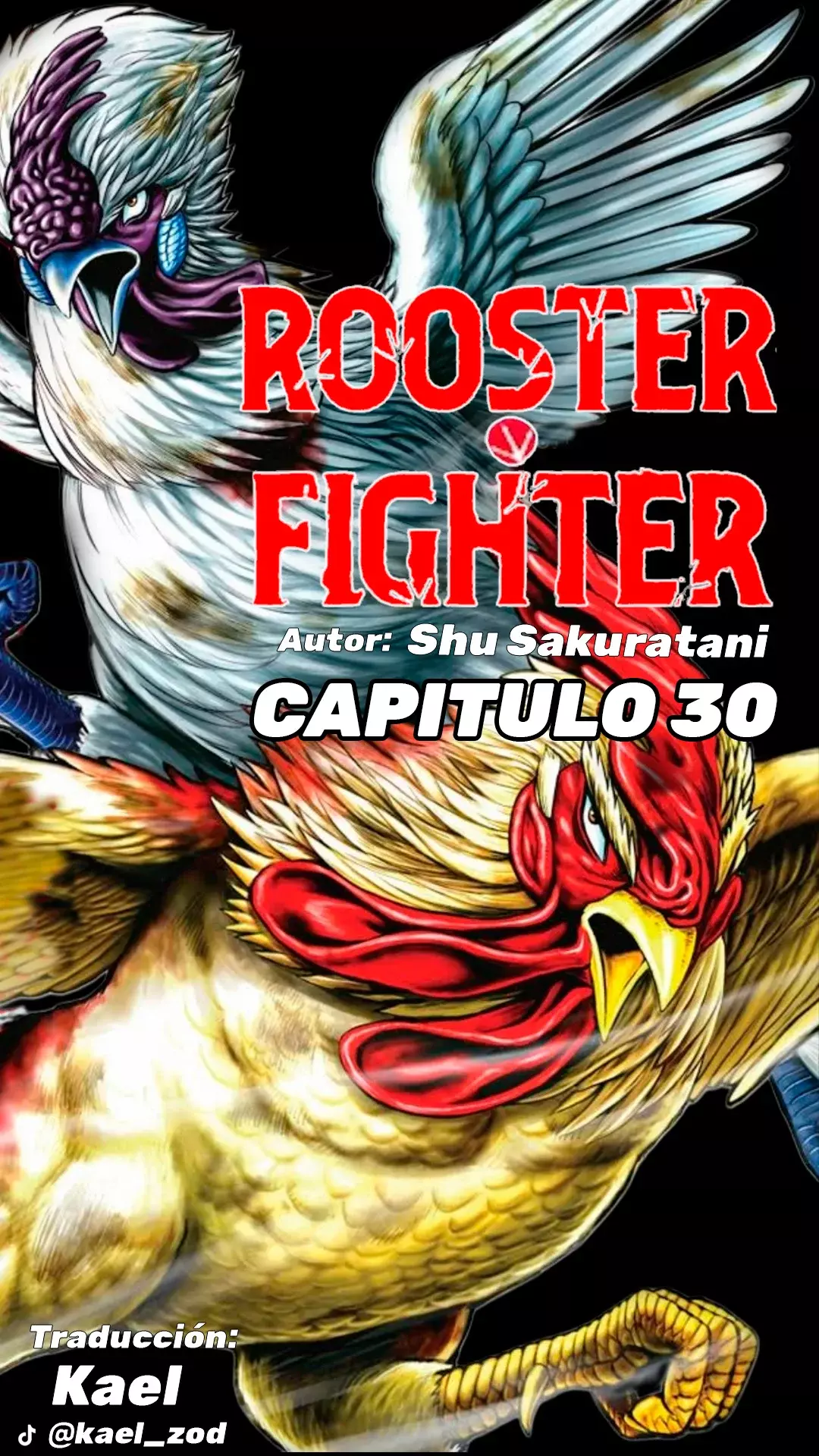 Read Rooster Fighter ES Manga Online