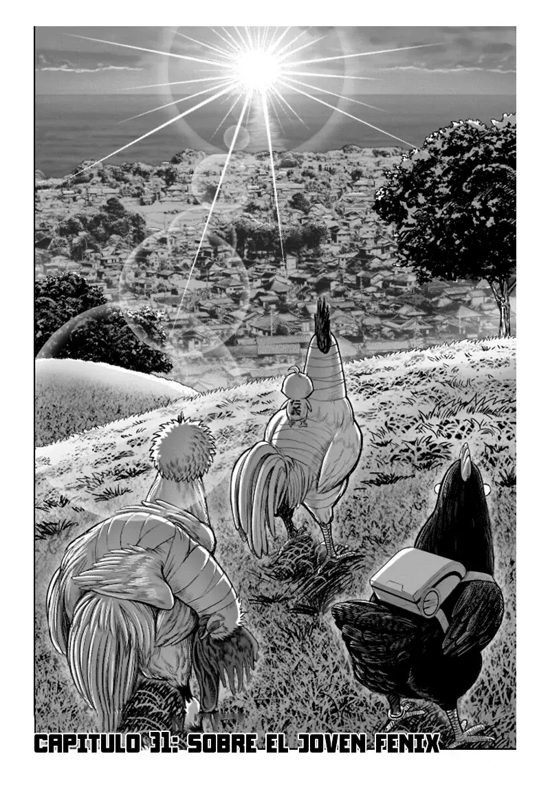 Read Rooster Fighter ES Manga Online