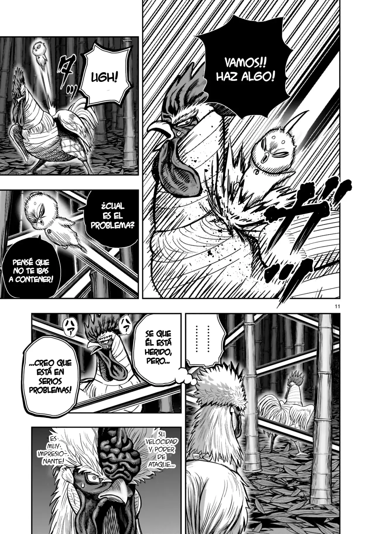Read Rooster Fighter ES Manga Online