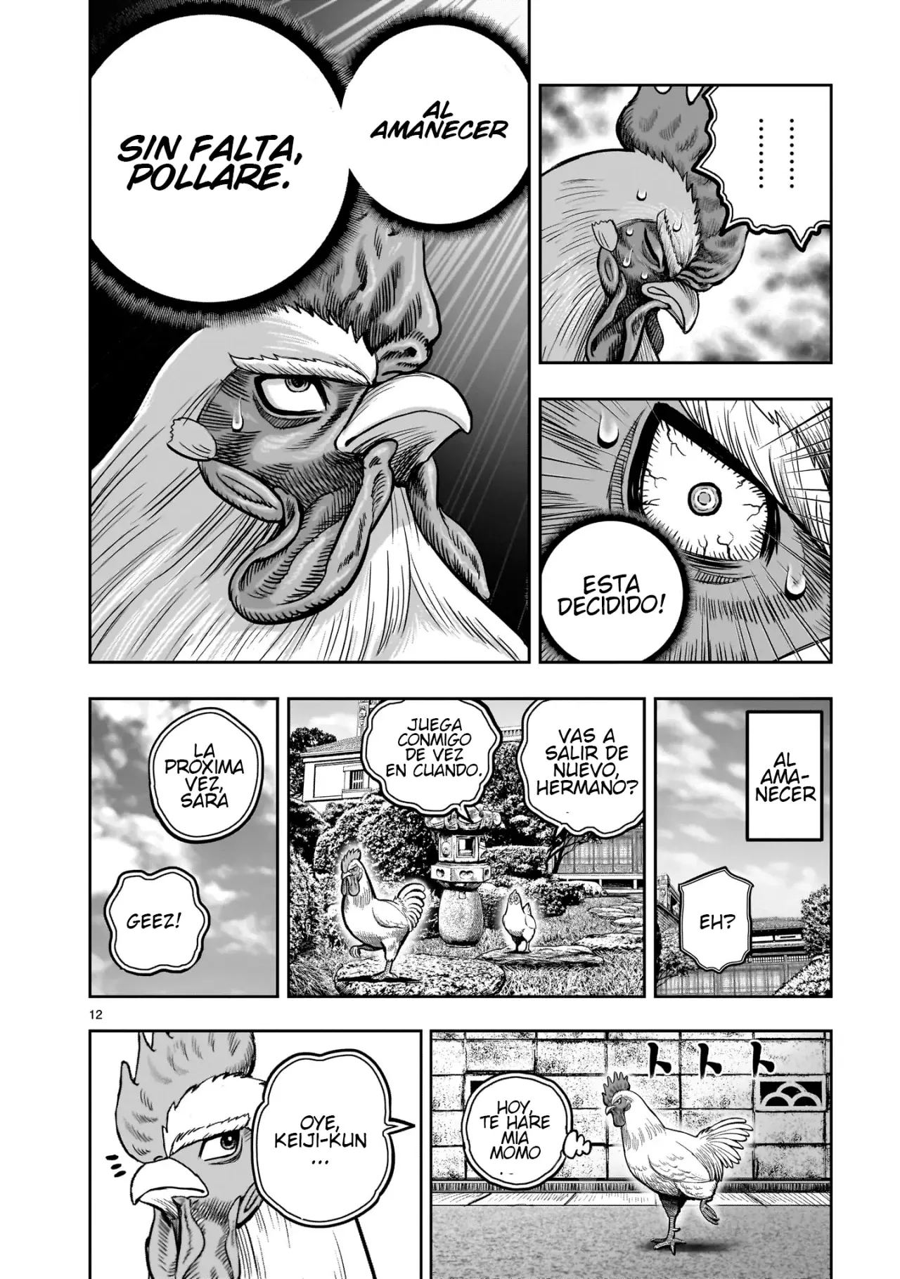 Read Rooster Fighter ES Manga Online