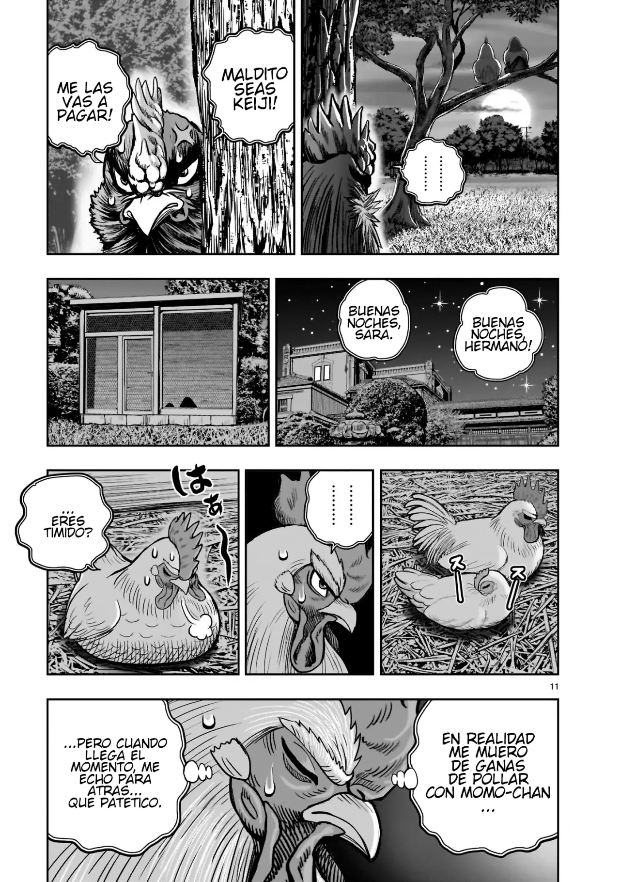 Read Rooster Fighter ES Manga Online