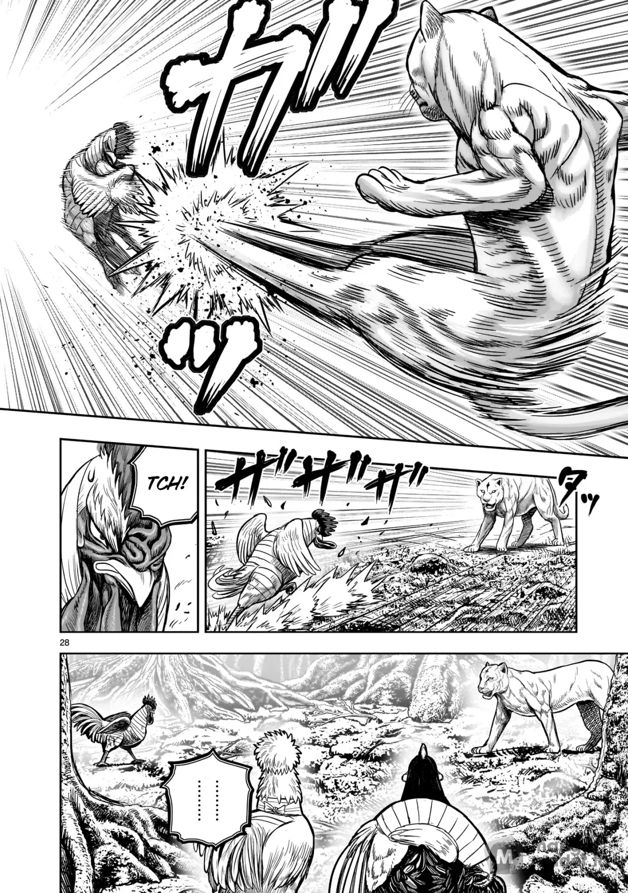 Read Rooster Fighter ES Manga Online