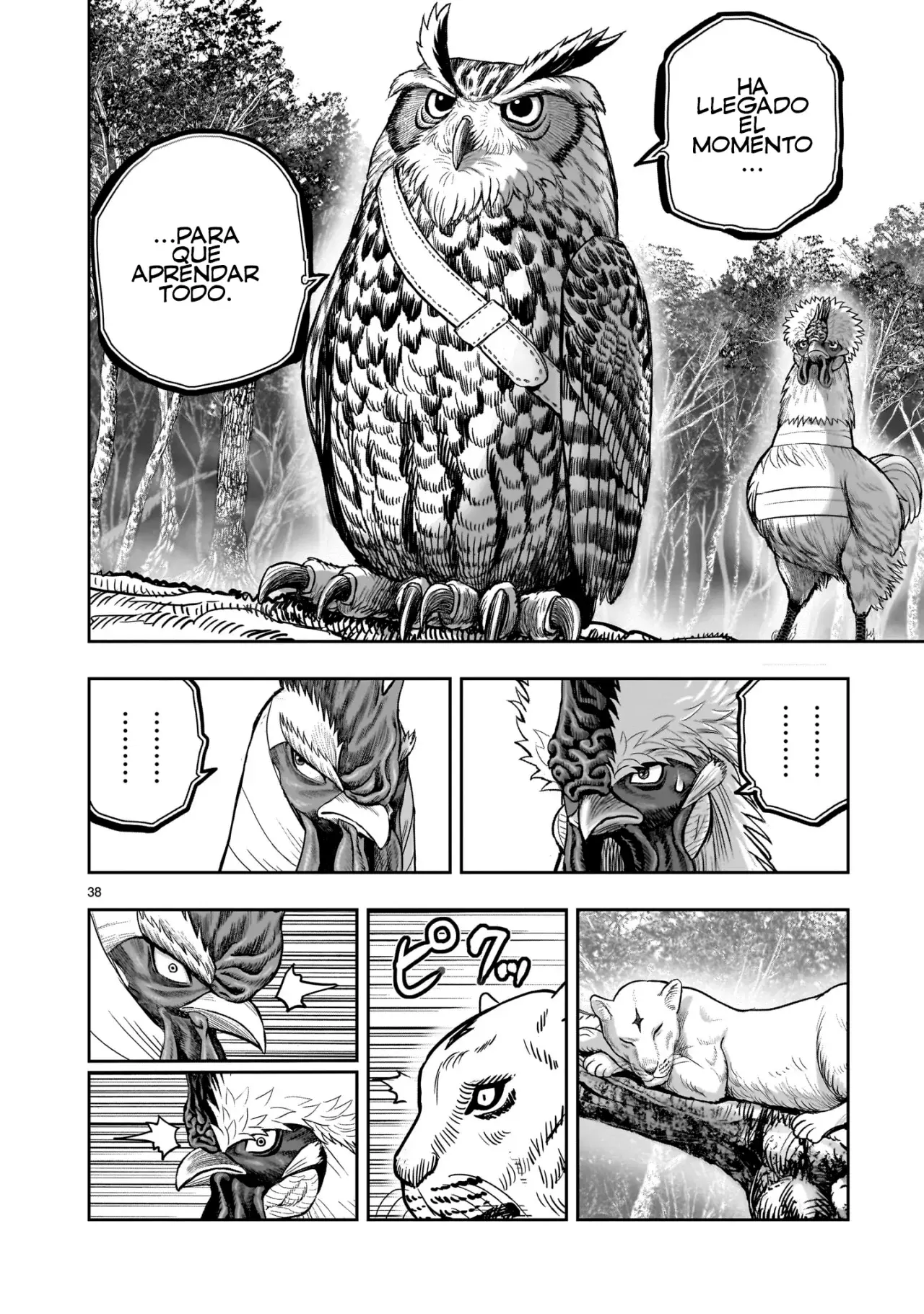 Read Rooster Fighter ES Manga Online