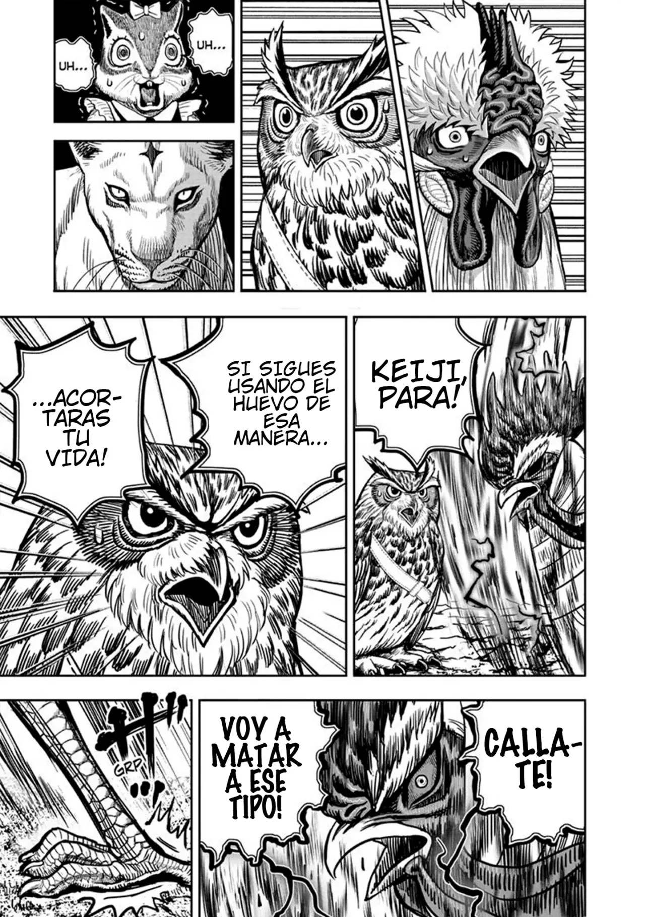 Read Rooster Fighter ES Manga Online