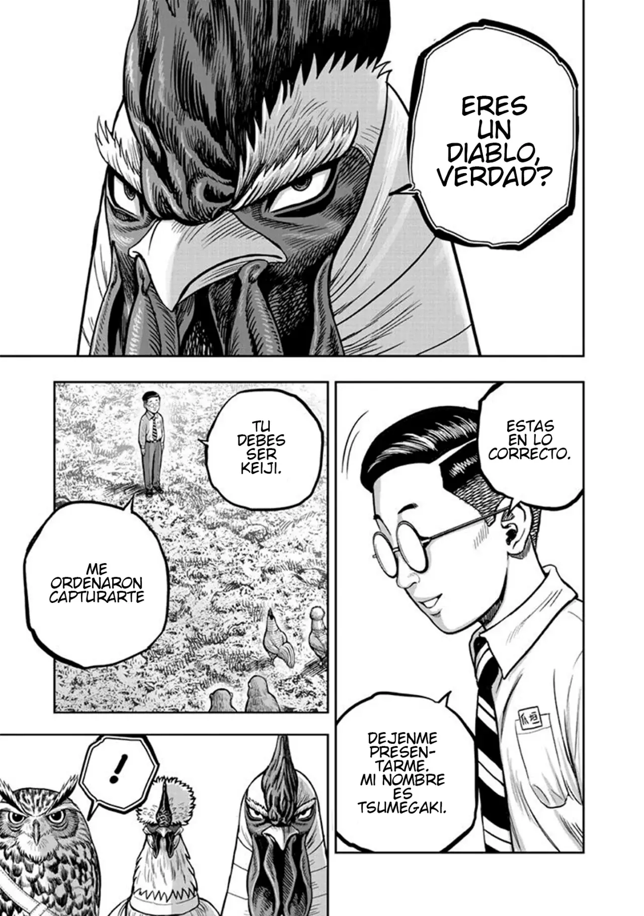 Read Rooster Fighter ES Manga Online