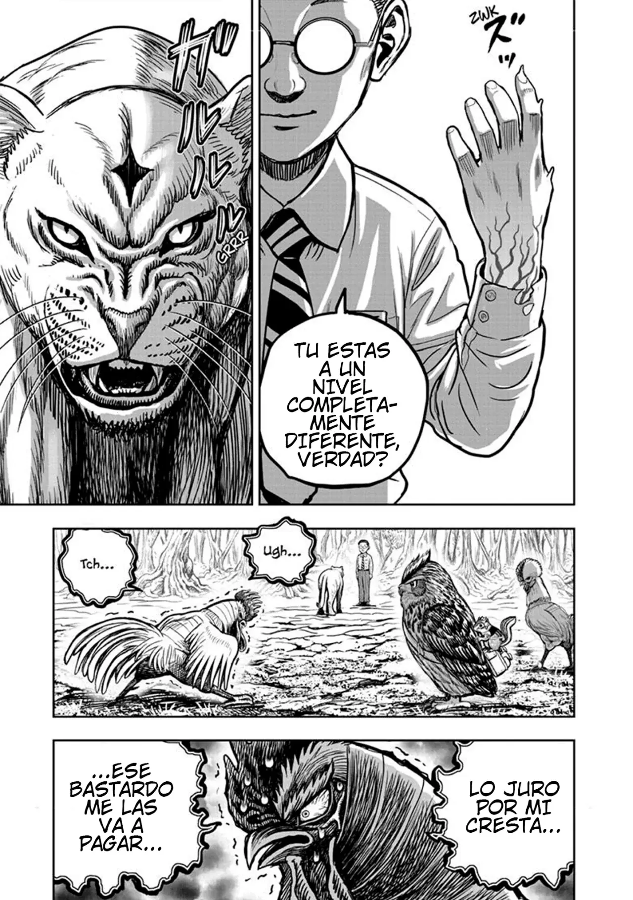 Read Rooster Fighter ES Manga Online
