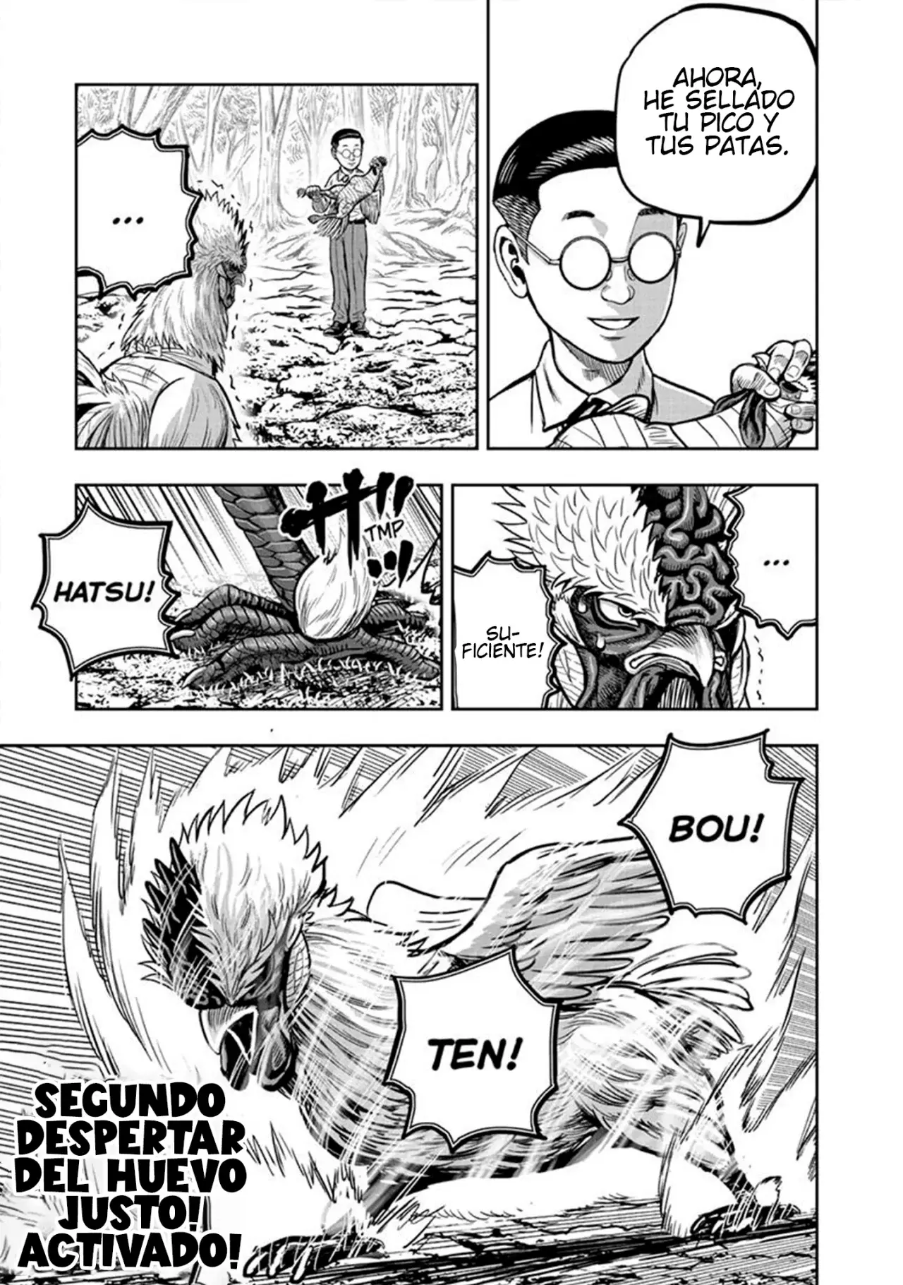 Read Rooster Fighter ES Manga Online