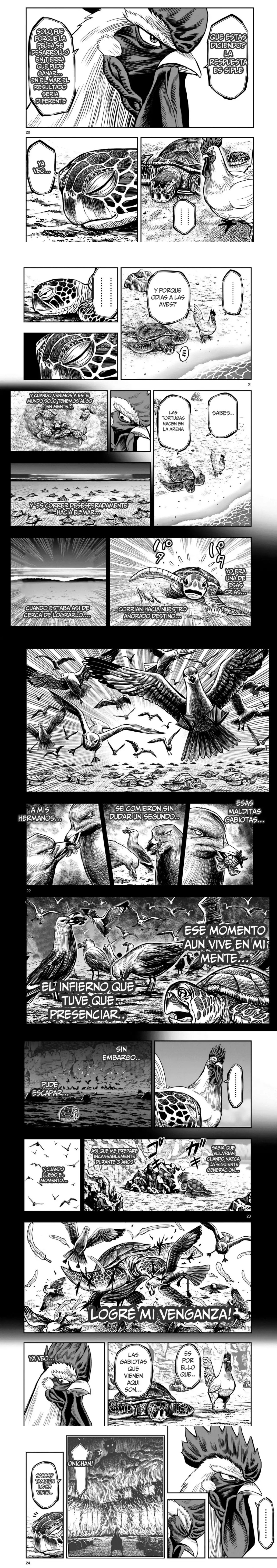 Read Rooster Fighter ES Manga Online