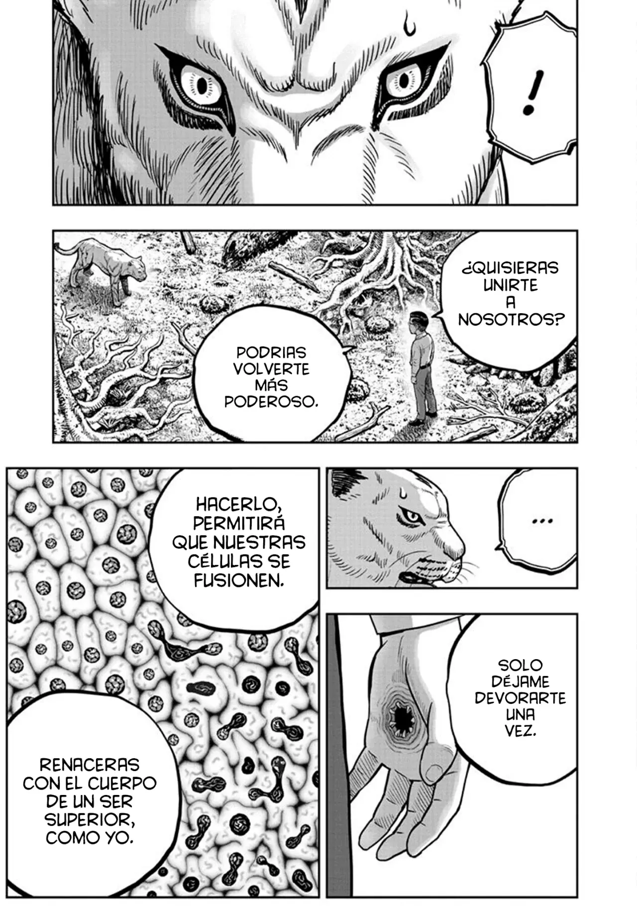 Read Rooster Fighter ES Manga Online