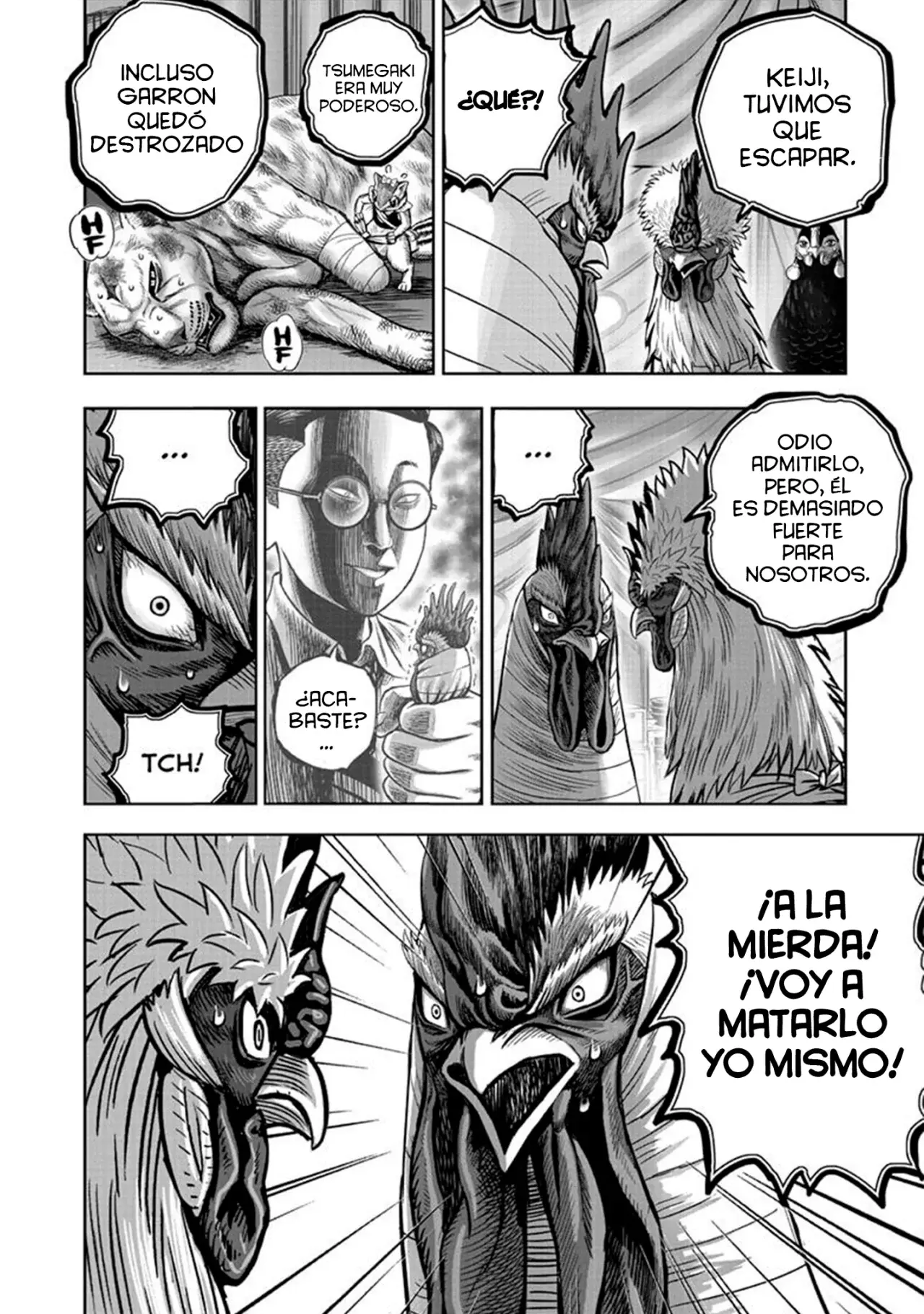 Read Rooster Fighter ES Manga Online
