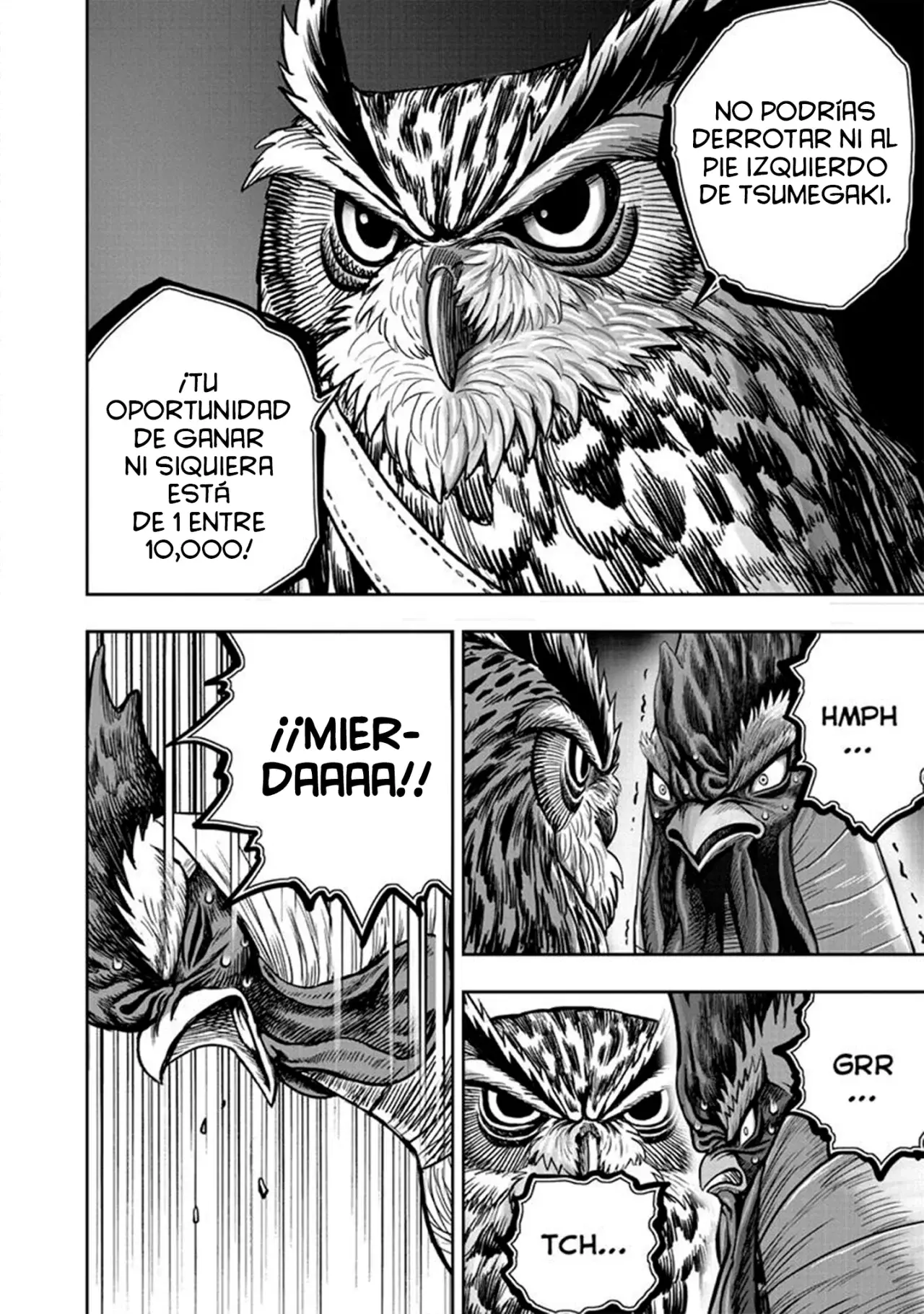 Read Rooster Fighter ES Manga Online