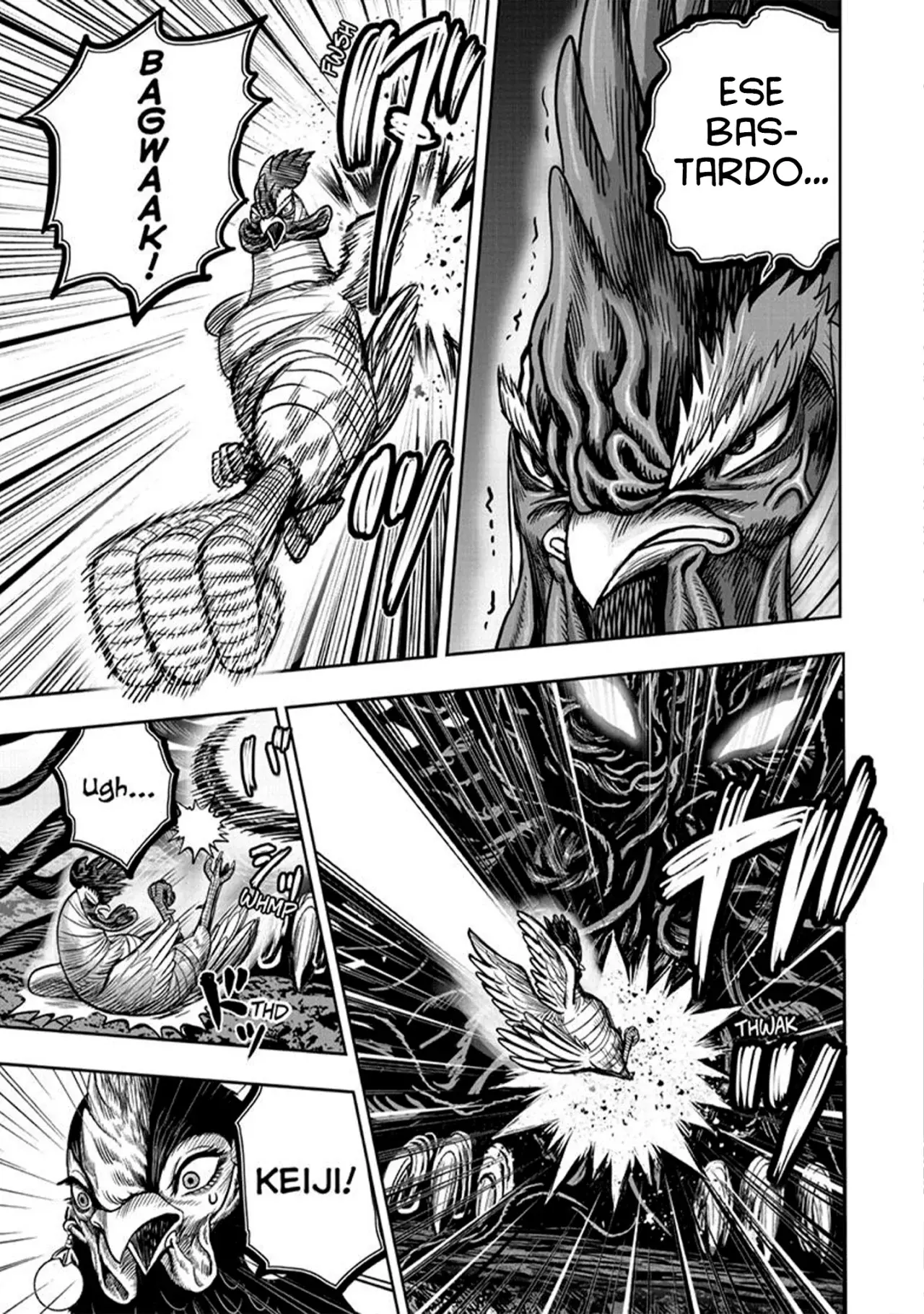 Read Rooster Fighter ES Manga Online