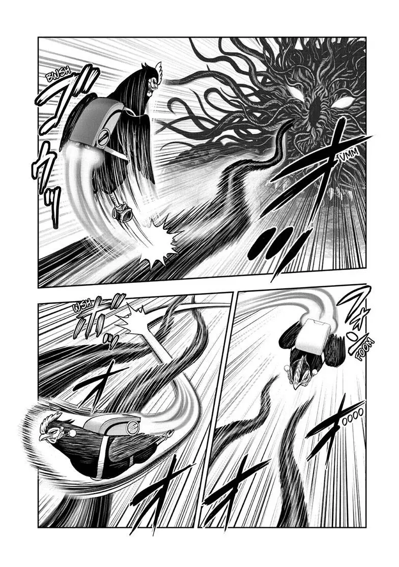 Read Rooster Fighter ES Manga Online