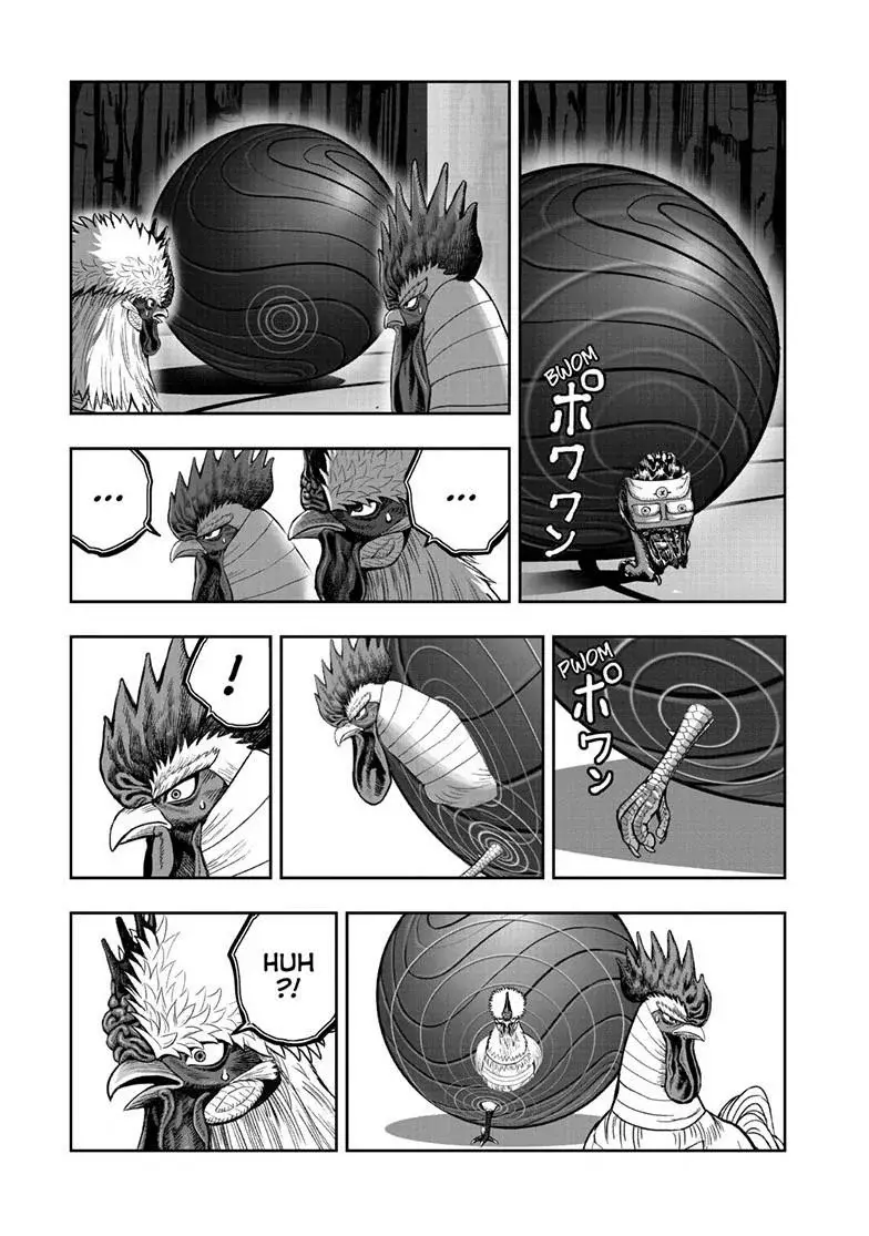 Read Rooster Fighter ES Manga Online