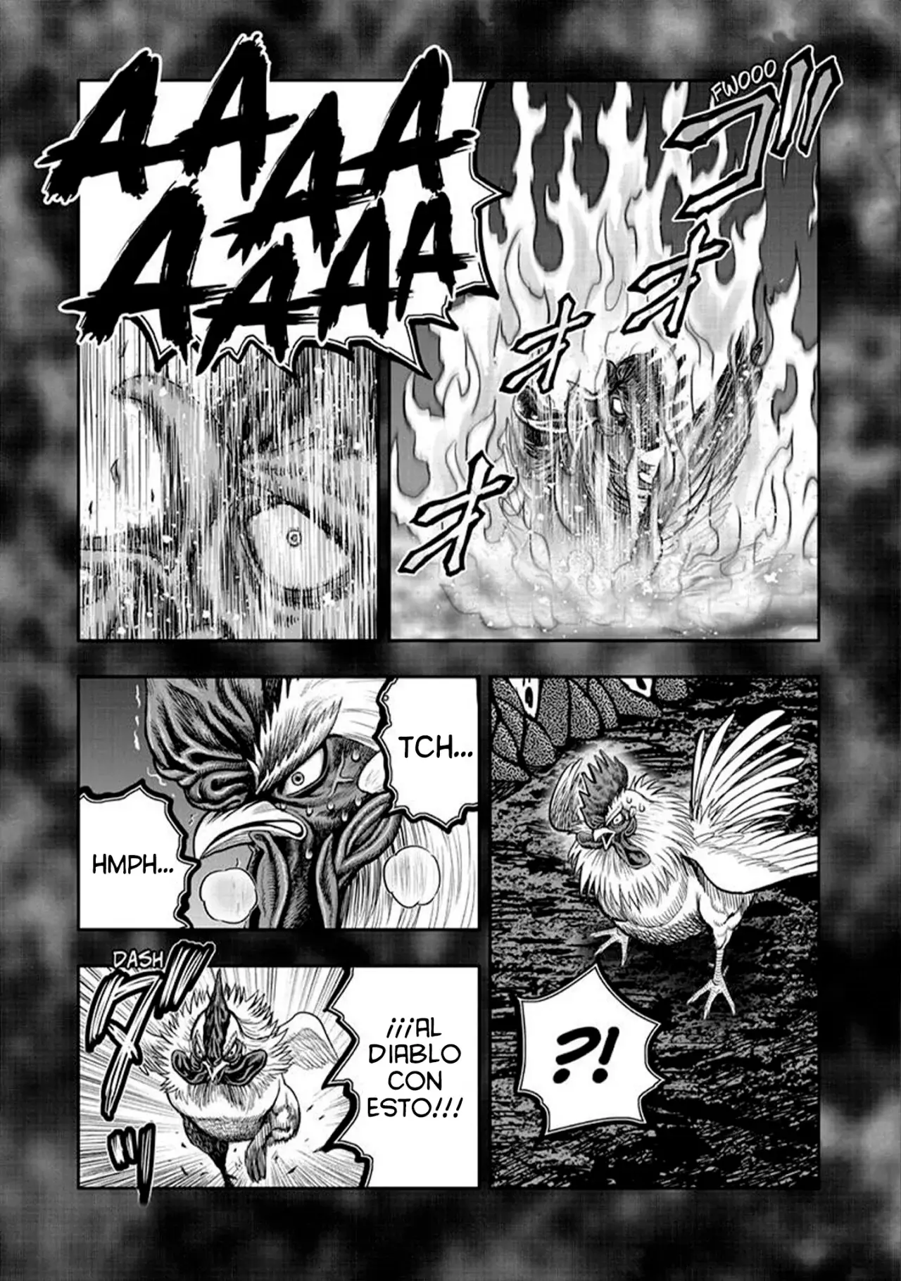 Read Rooster Fighter ES Manga Online