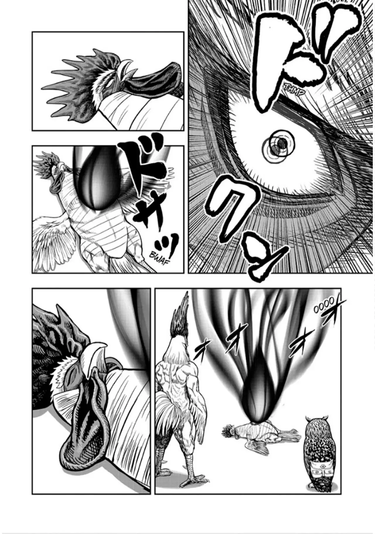 Read Rooster Fighter ES Manga Online