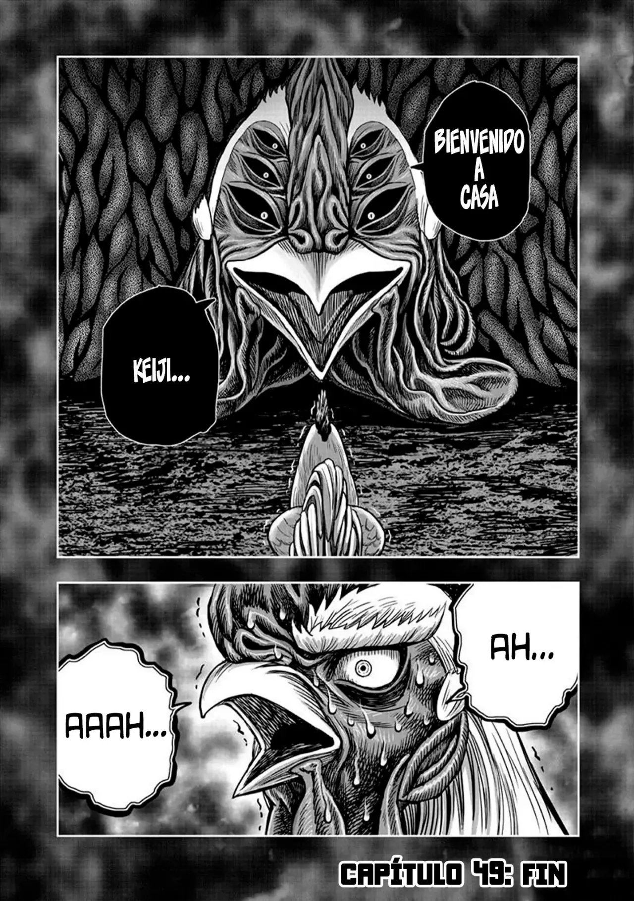 Read Rooster Fighter ES Manga Online