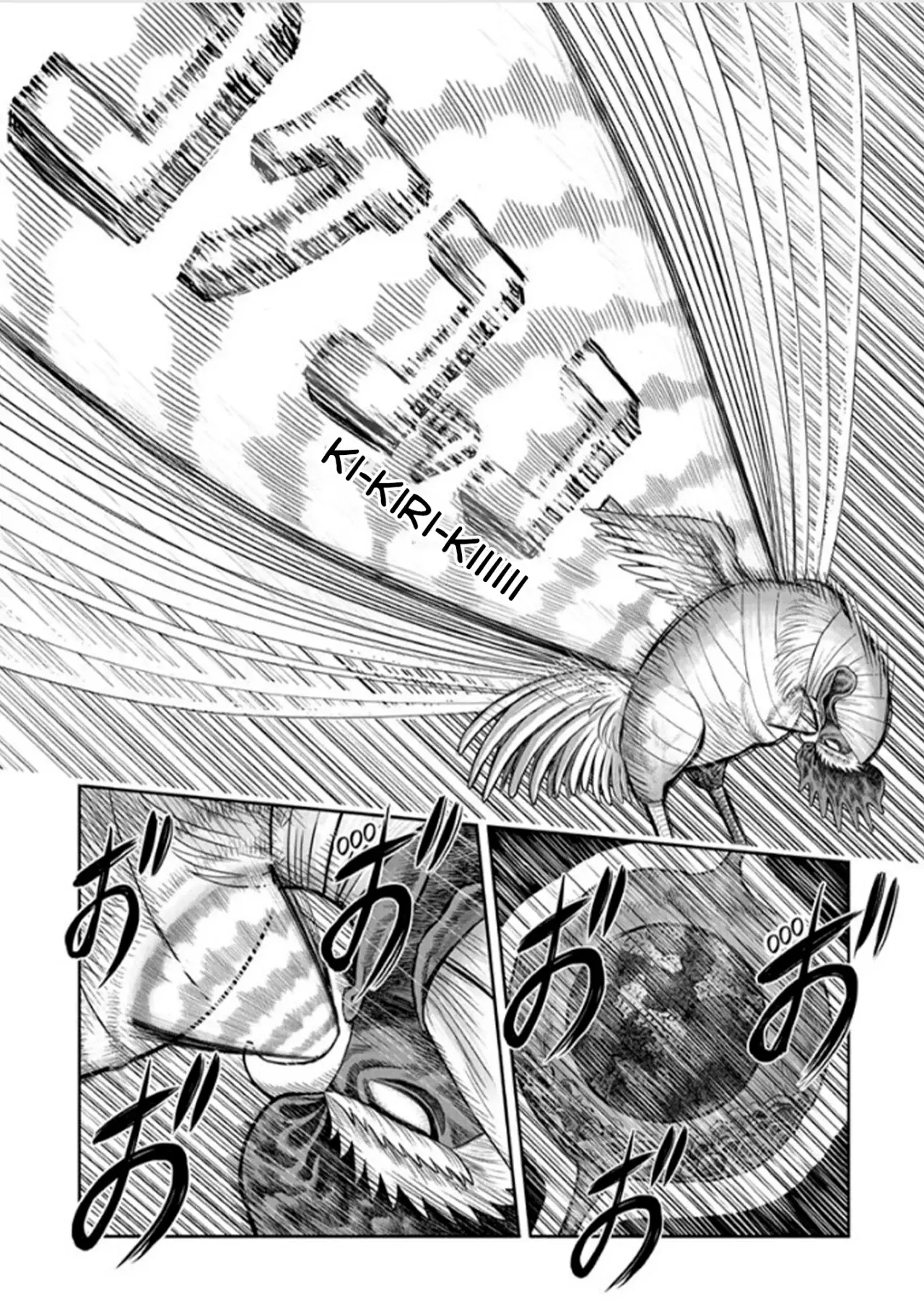 Read Rooster Fighter ES Manga Online