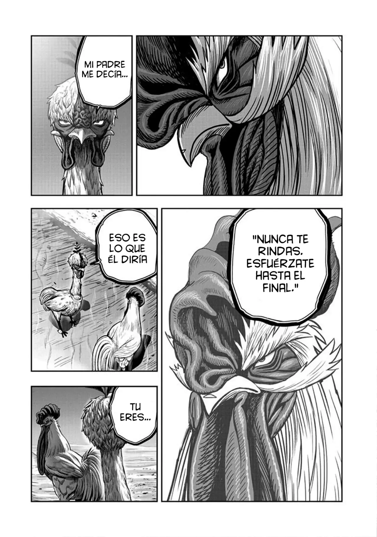 Read Rooster Fighter ES Manga Online