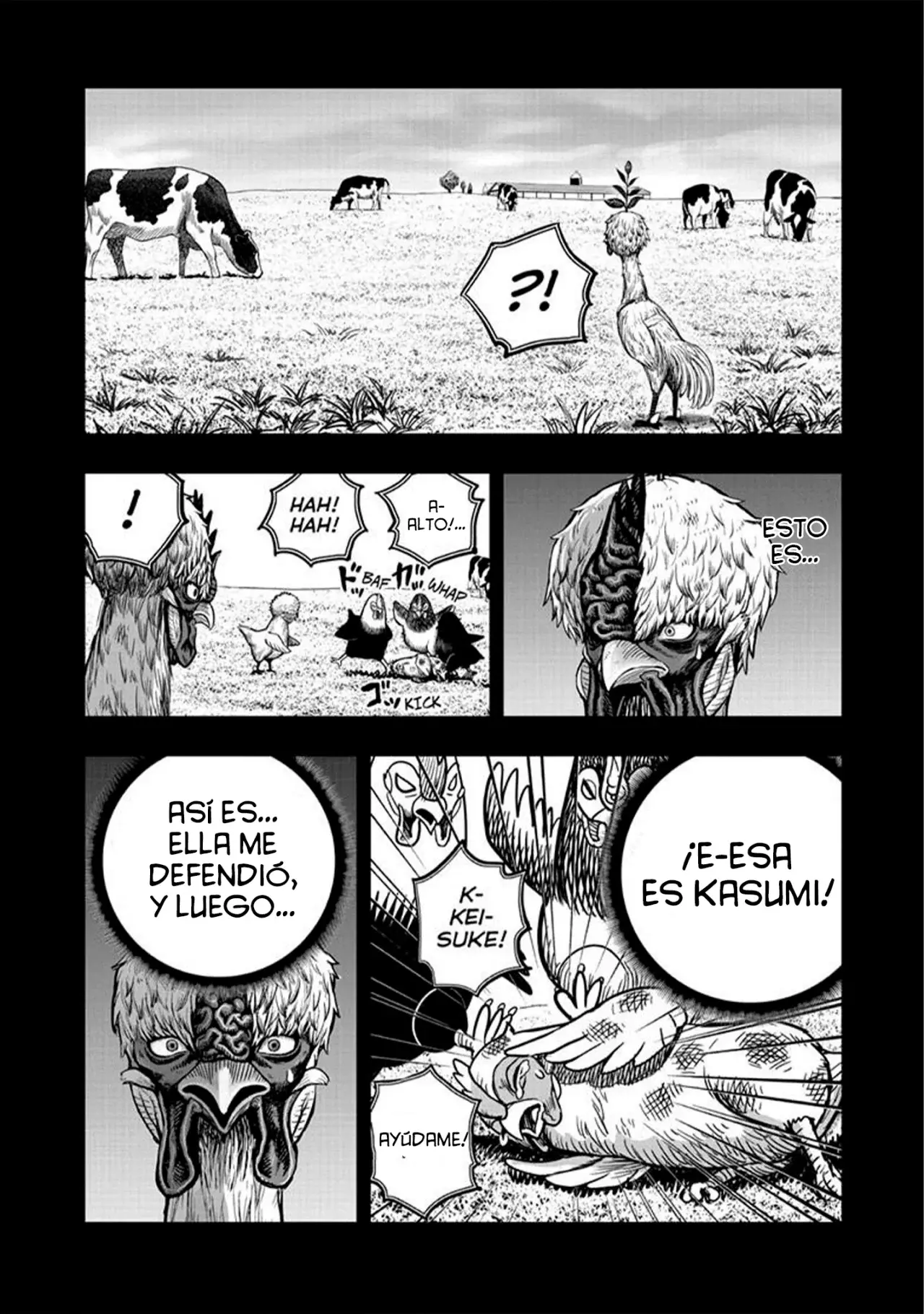 Read Rooster Fighter ES Manga Online