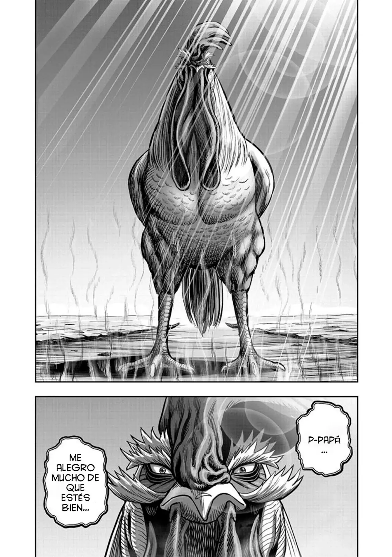 Read Rooster Fighter ES Manga Online