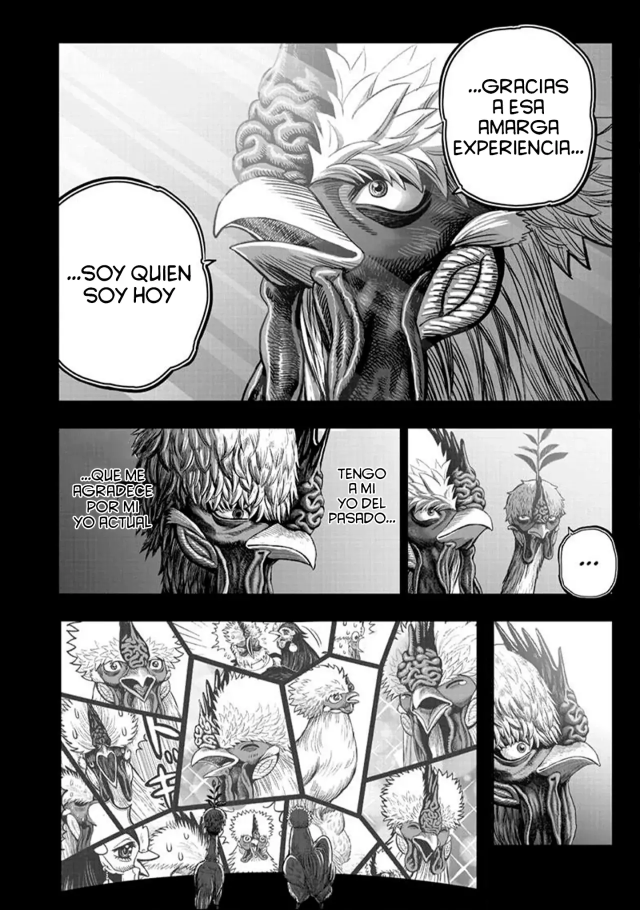 Read Rooster Fighter ES Manga Online