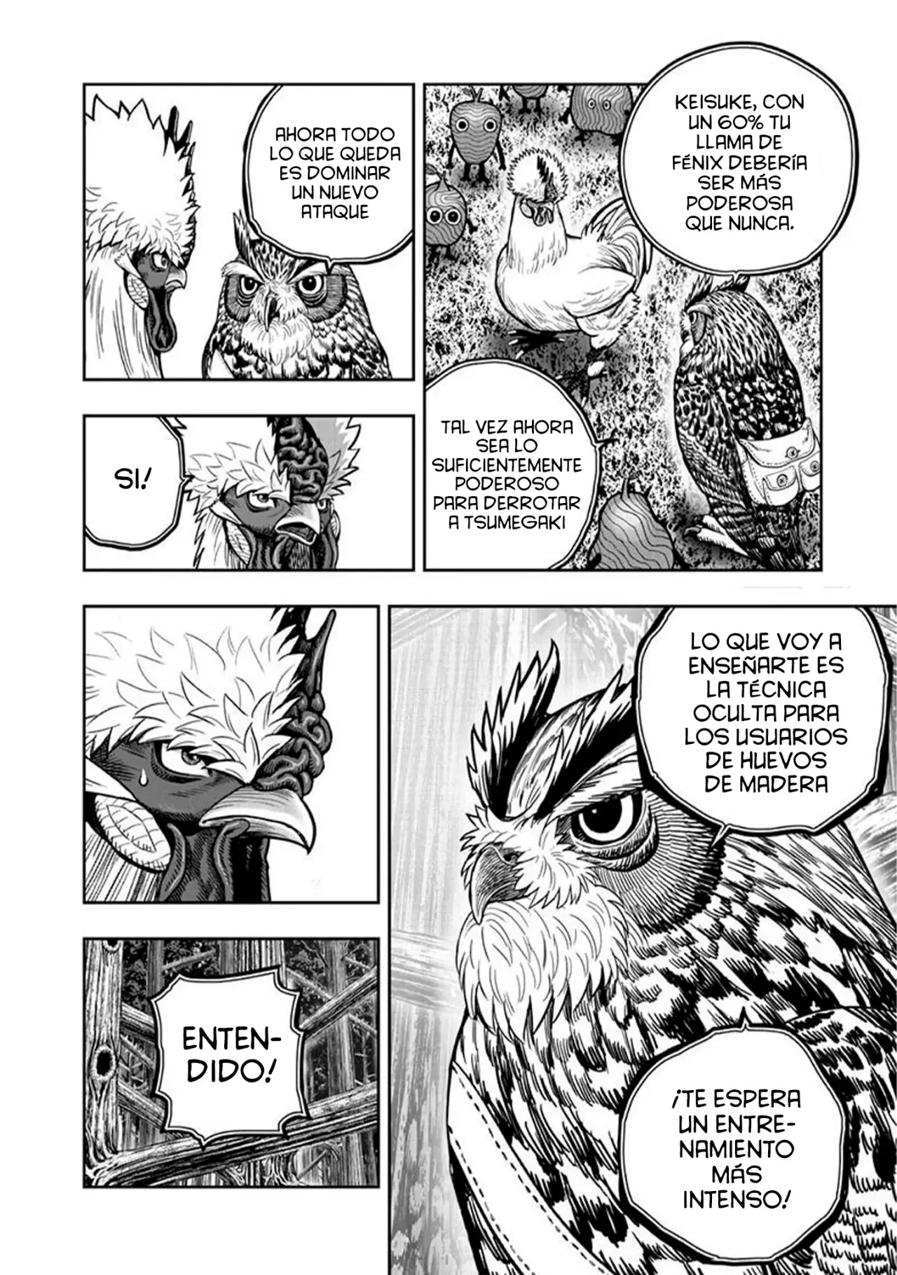 Read Rooster Fighter ES Manga Online