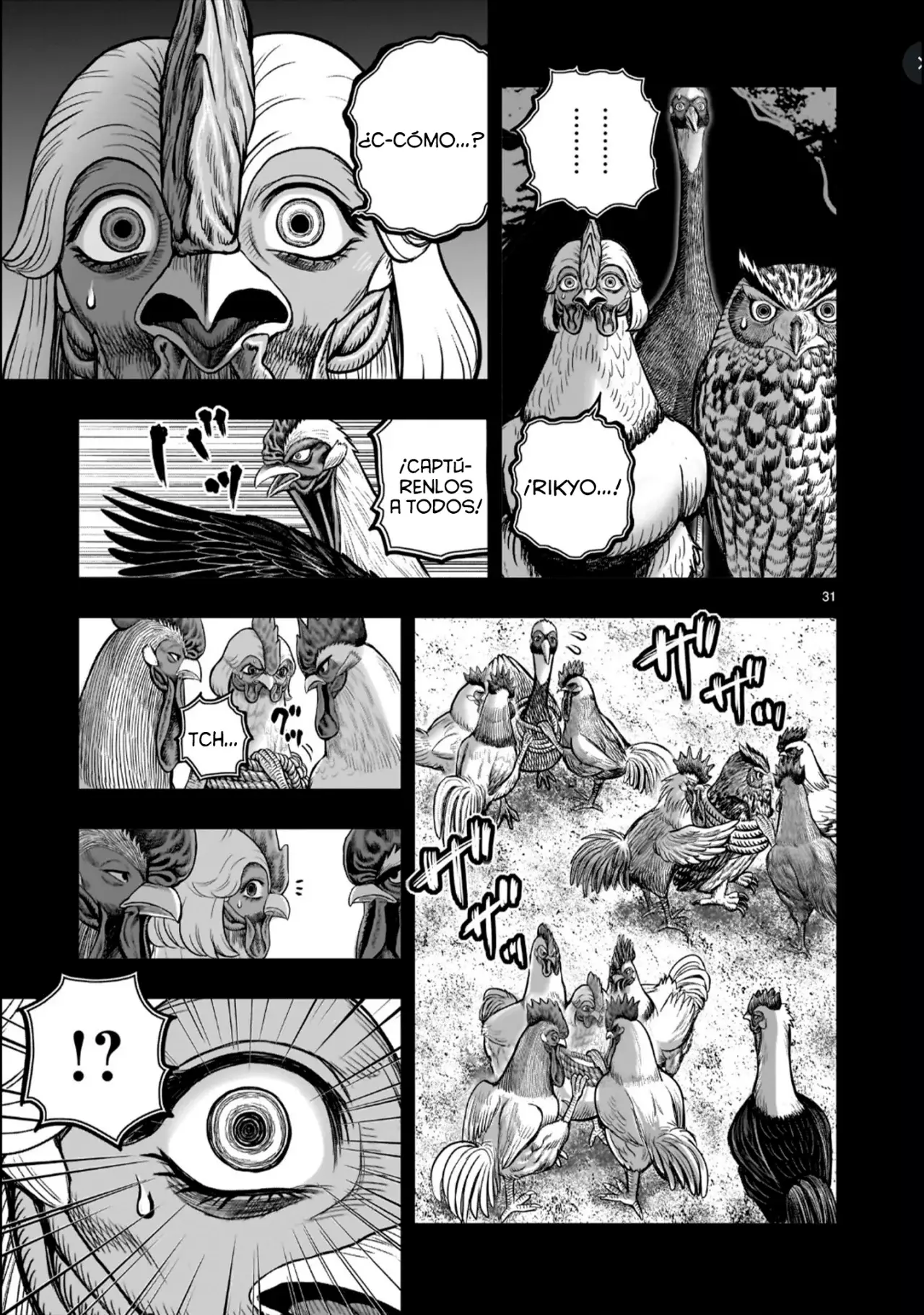 Read Rooster Fighter ES Manga Online