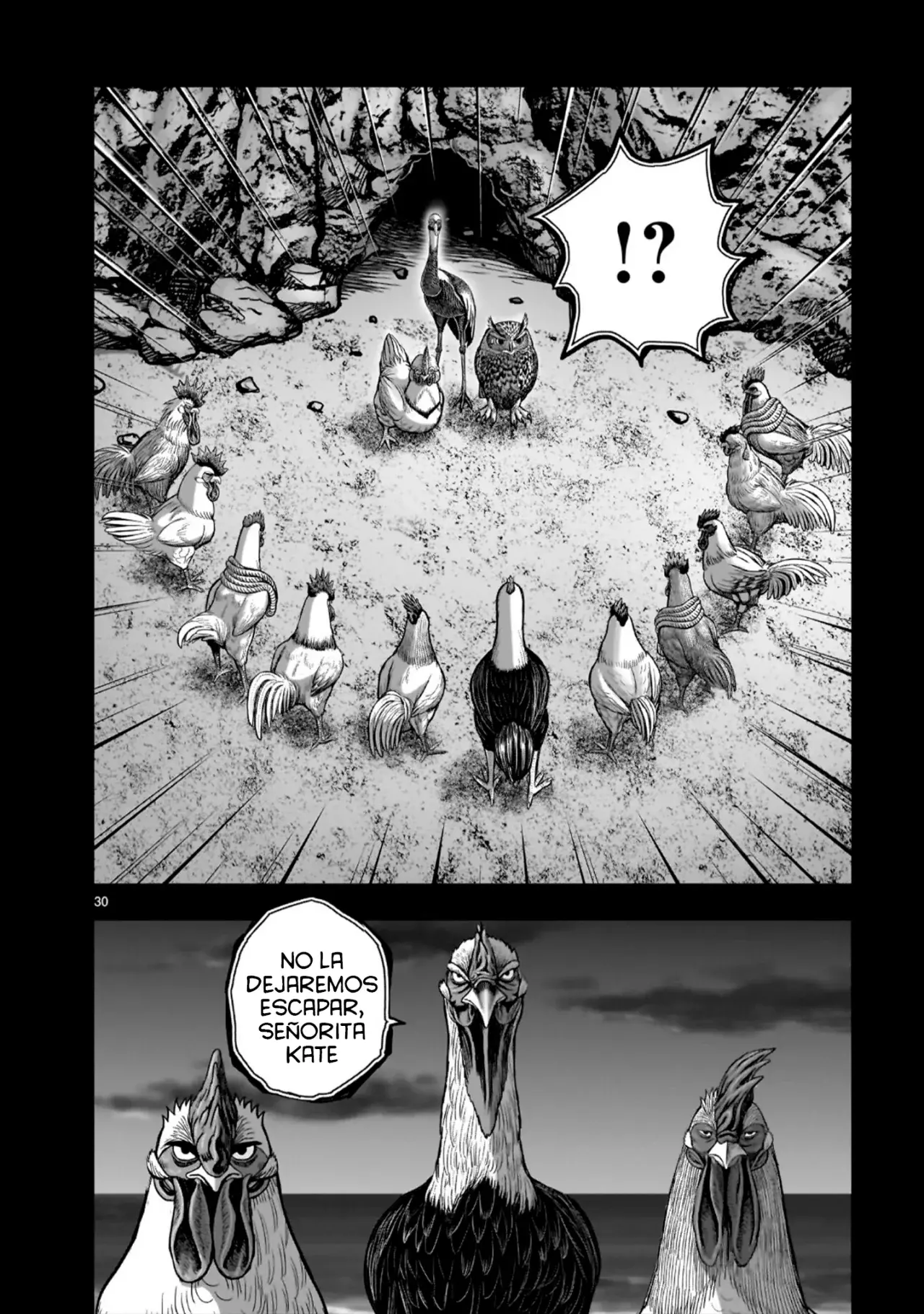 Read Rooster Fighter ES Manga Online