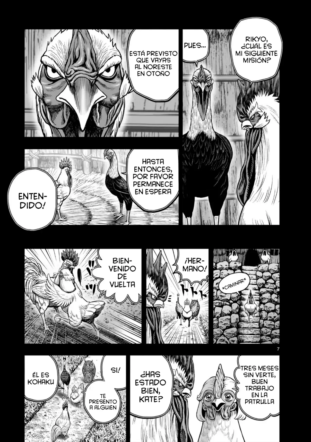 Read Rooster Fighter ES Manga Online