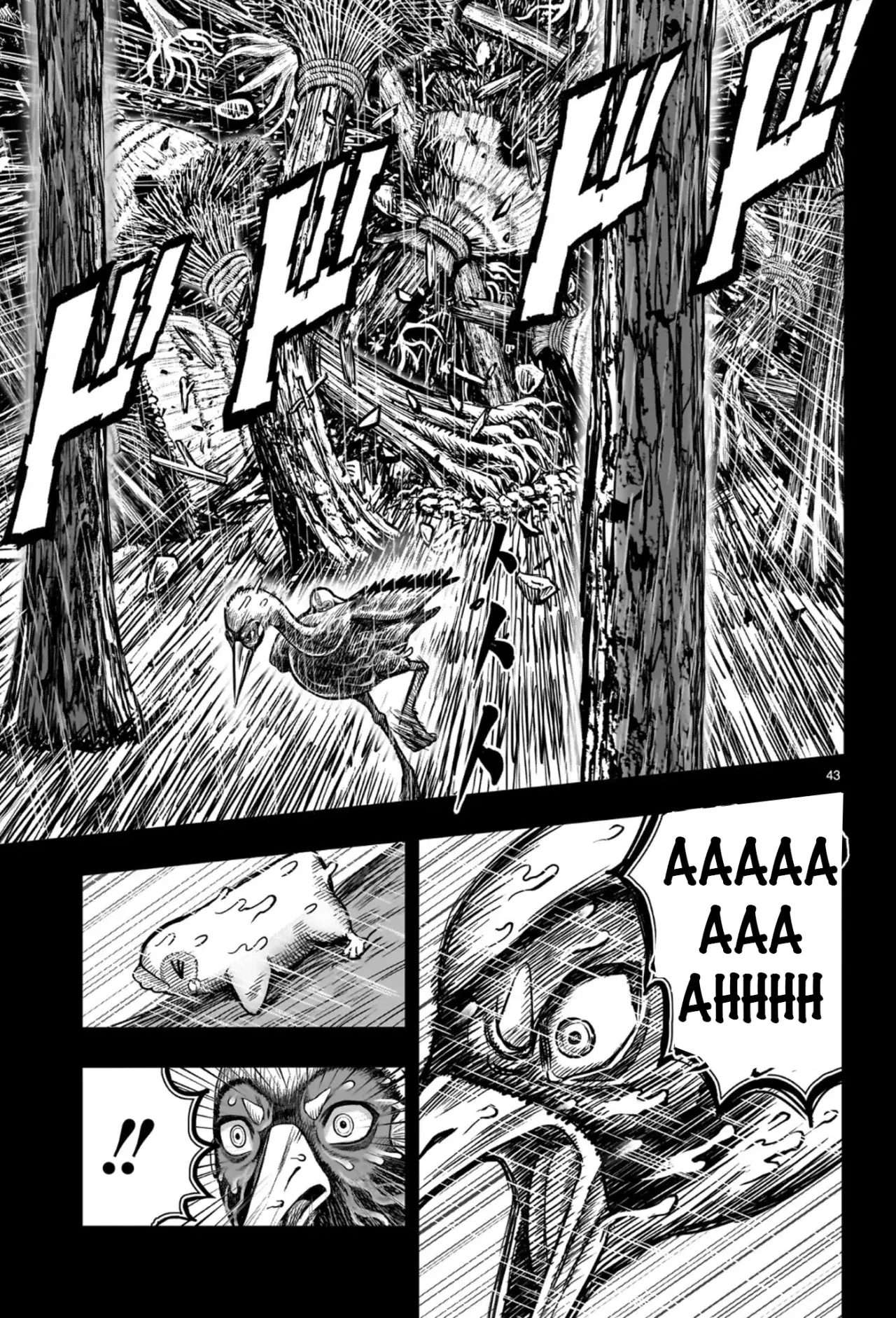 Read Rooster Fighter ES Manga Online
