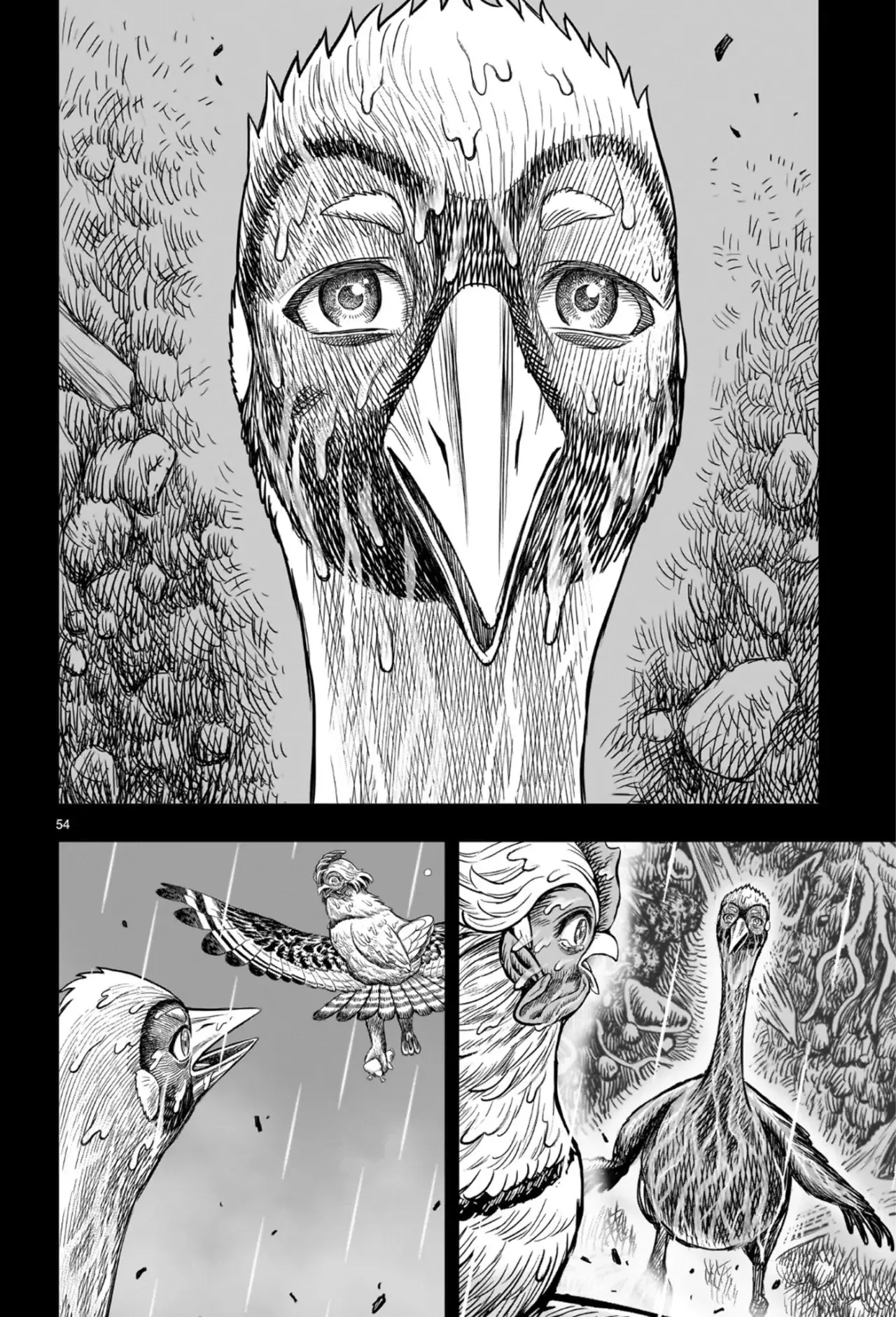 Read Rooster Fighter ES Manga Online