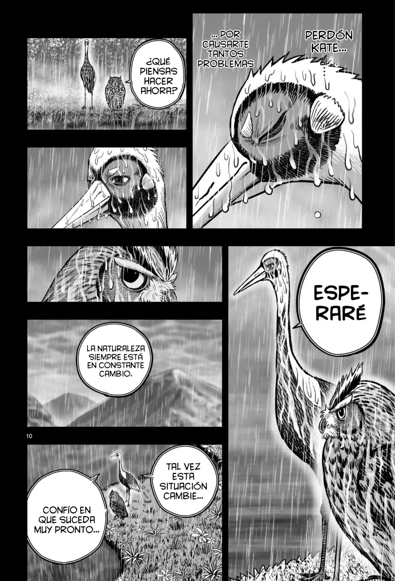 Read Rooster Fighter ES Manga Online