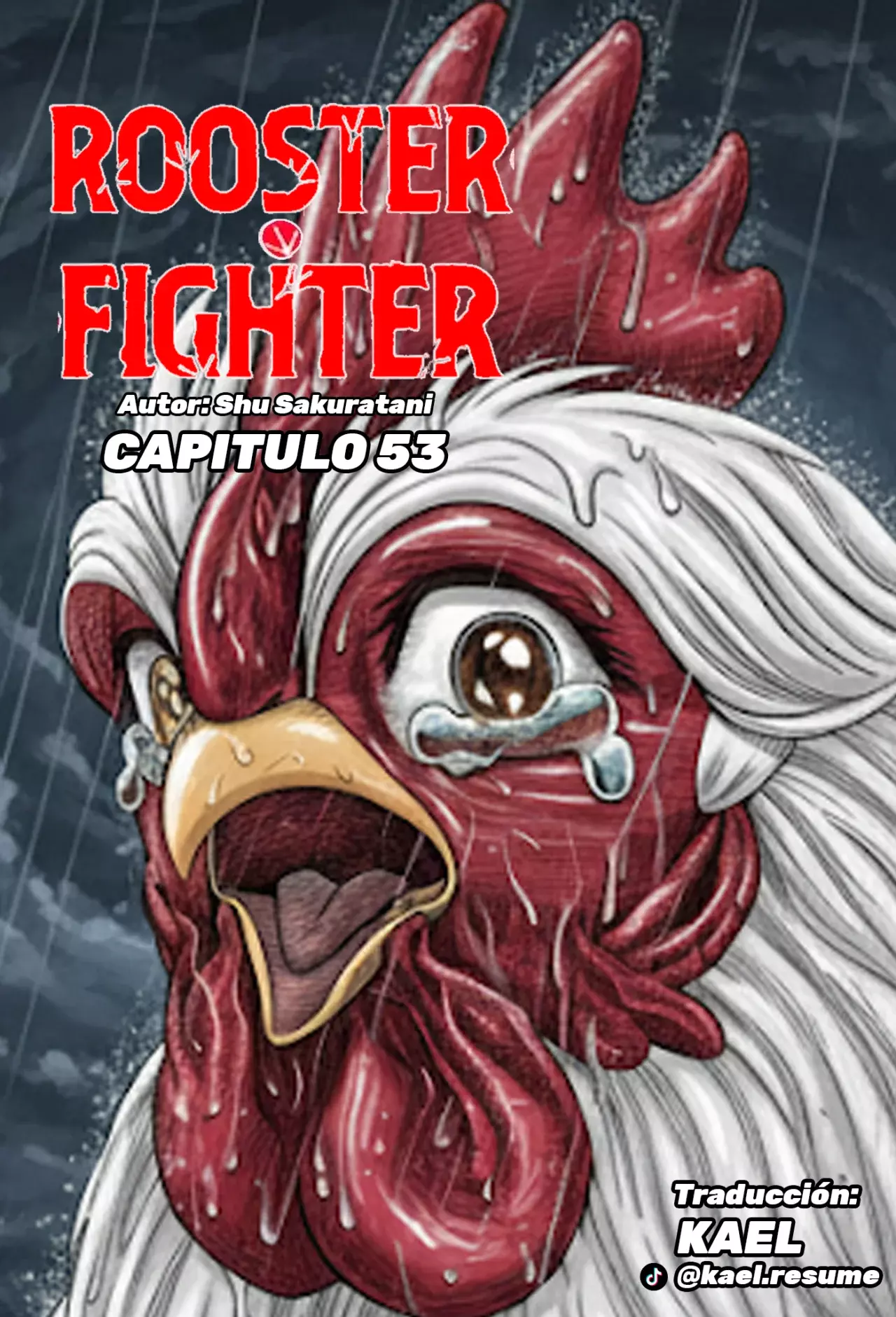 Read Rooster Fighter ES Manga Online