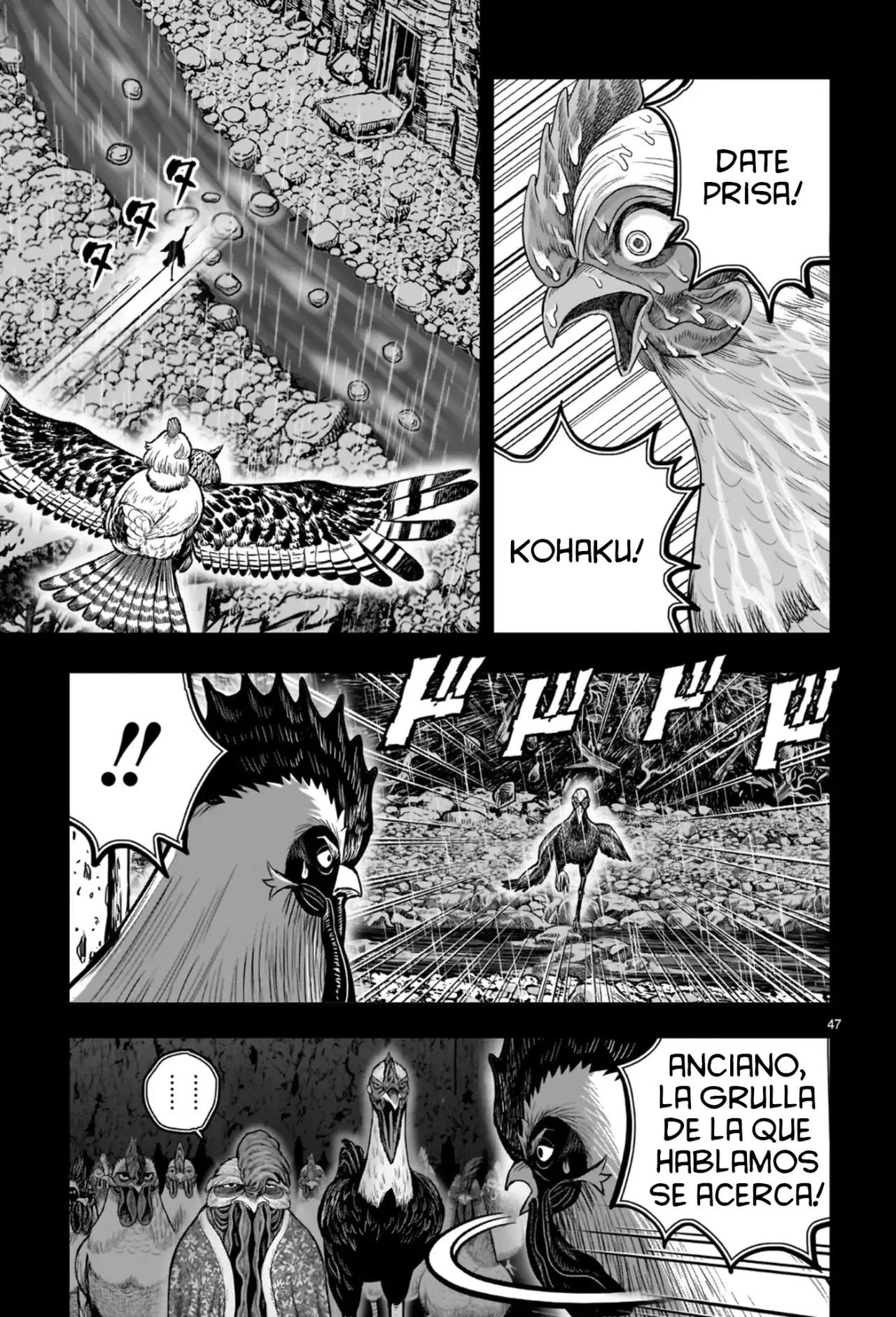 Read Rooster Fighter ES Manga Online