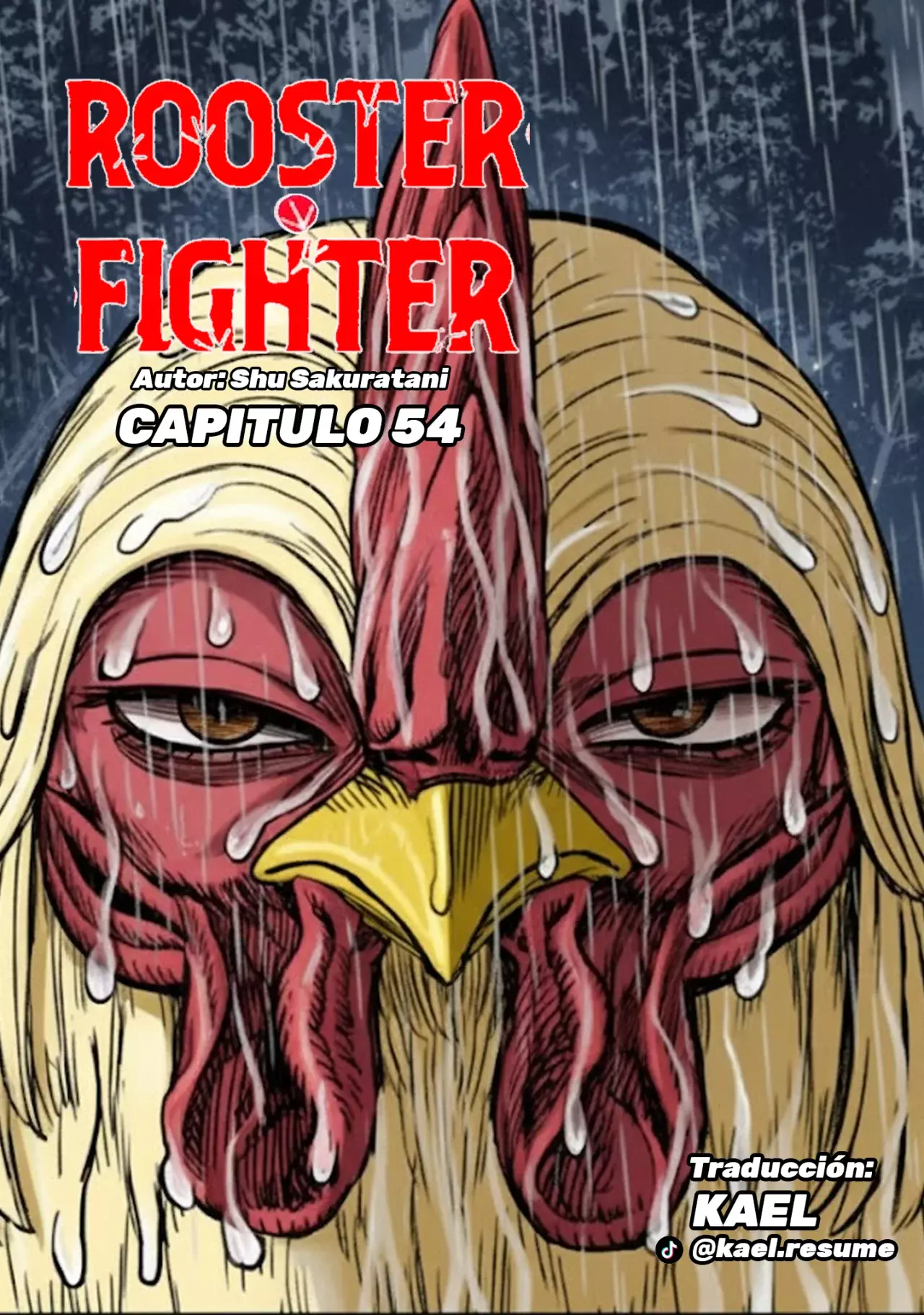 Read Rooster Fighter ES Manga Online